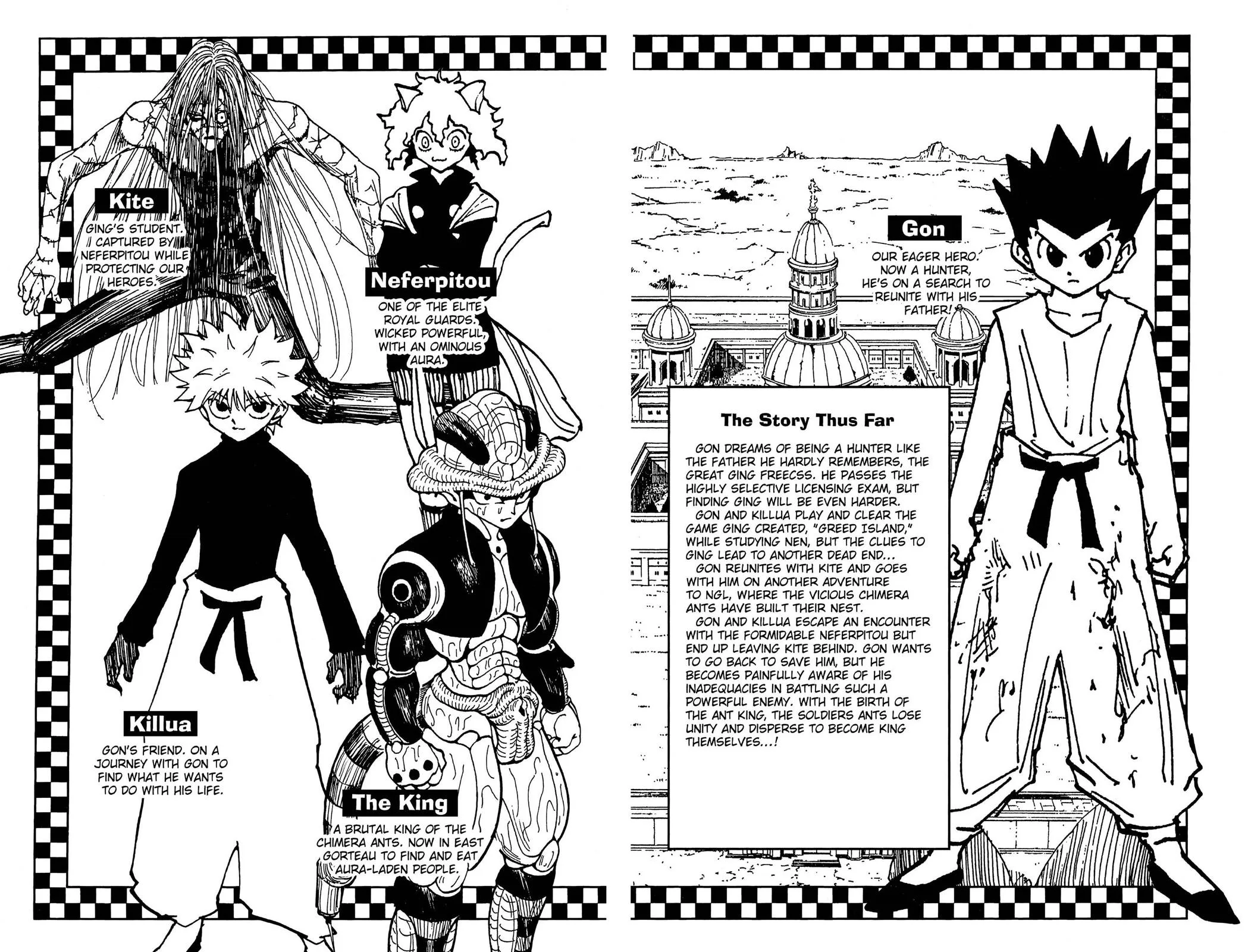 Hunter x Hunter - Chapter 224 - Page 5