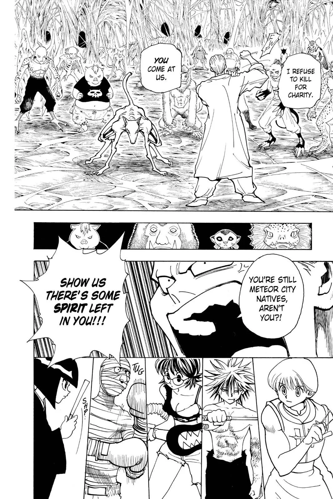 Hunter x Hunter - Chapter 229 - Page 12