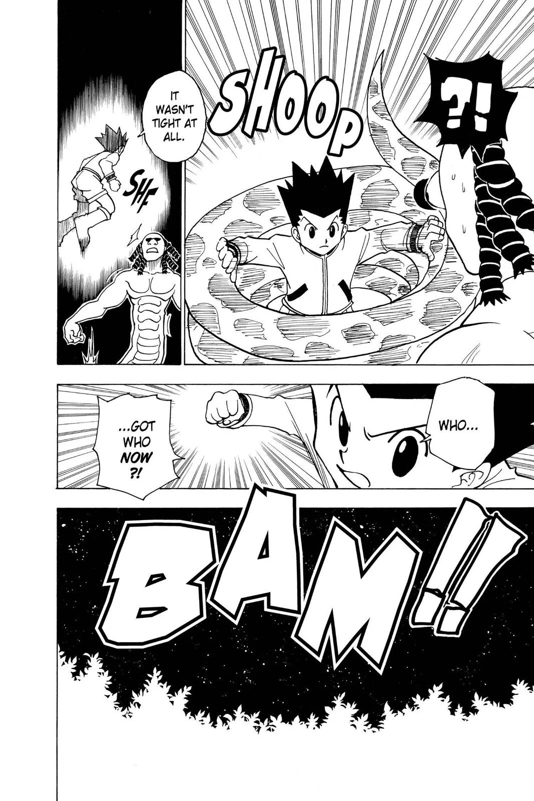 Hunter x Hunter - Chapter 231 - Page 12
