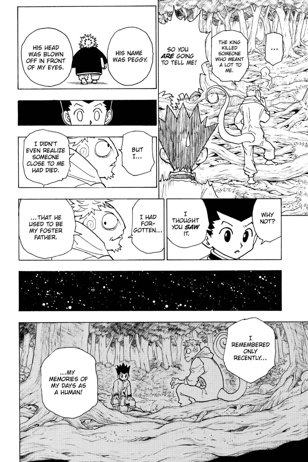 Hunter x Hunter - Chapter 242 - Page 12