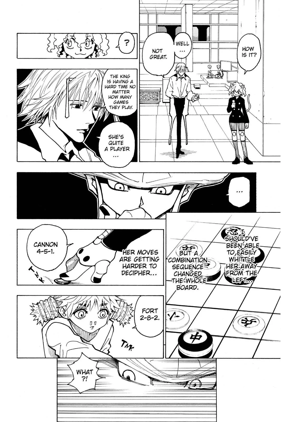 Hunter x Hunter - Chapter 245 - Page 14
