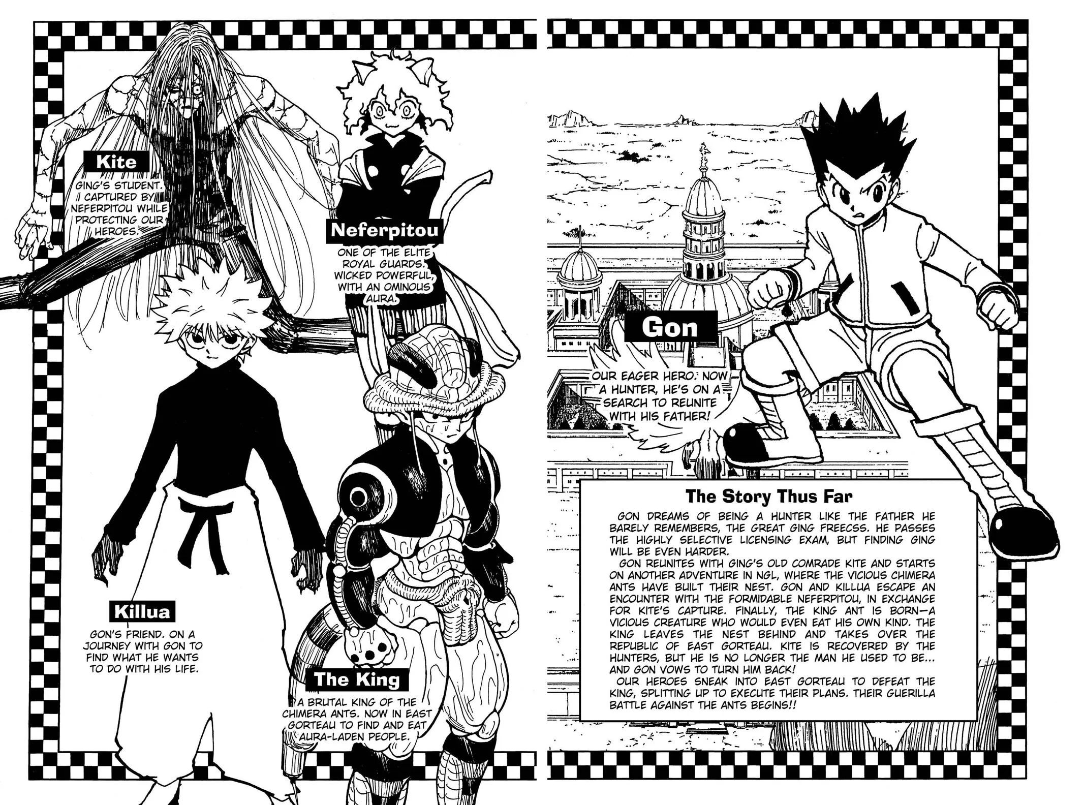 Hunter x Hunter - Chapter 248 - Page 5