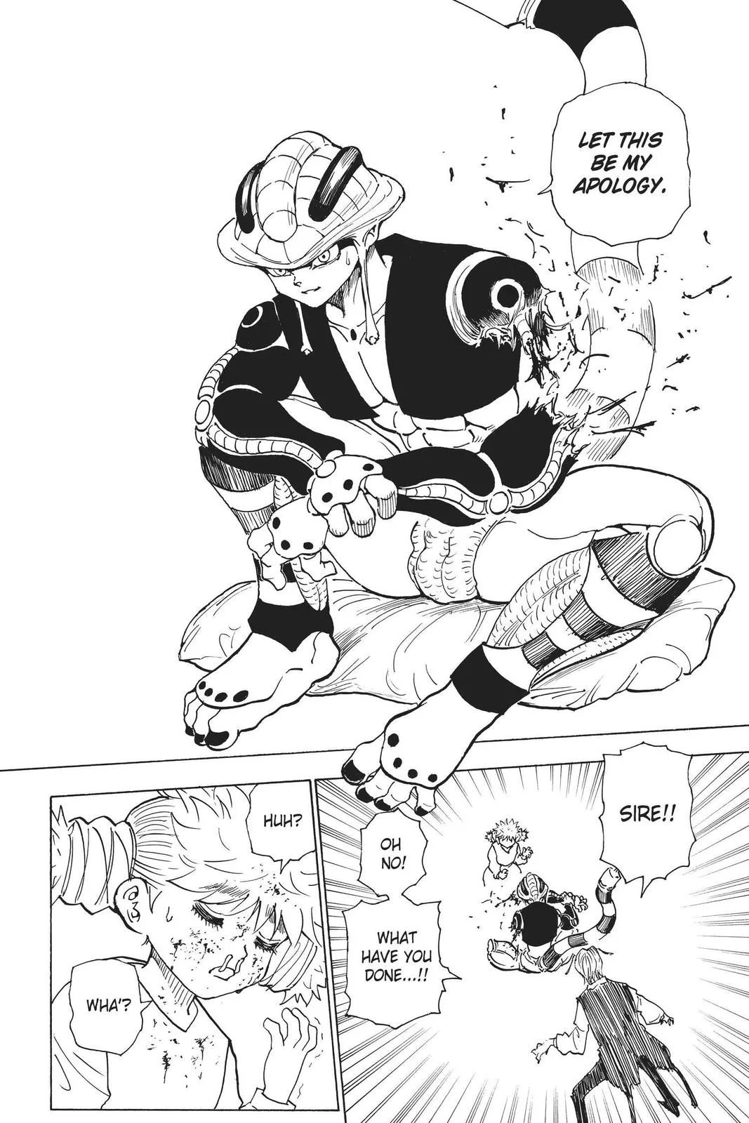 Hunter x Hunter - Chapter 249 - Page 8