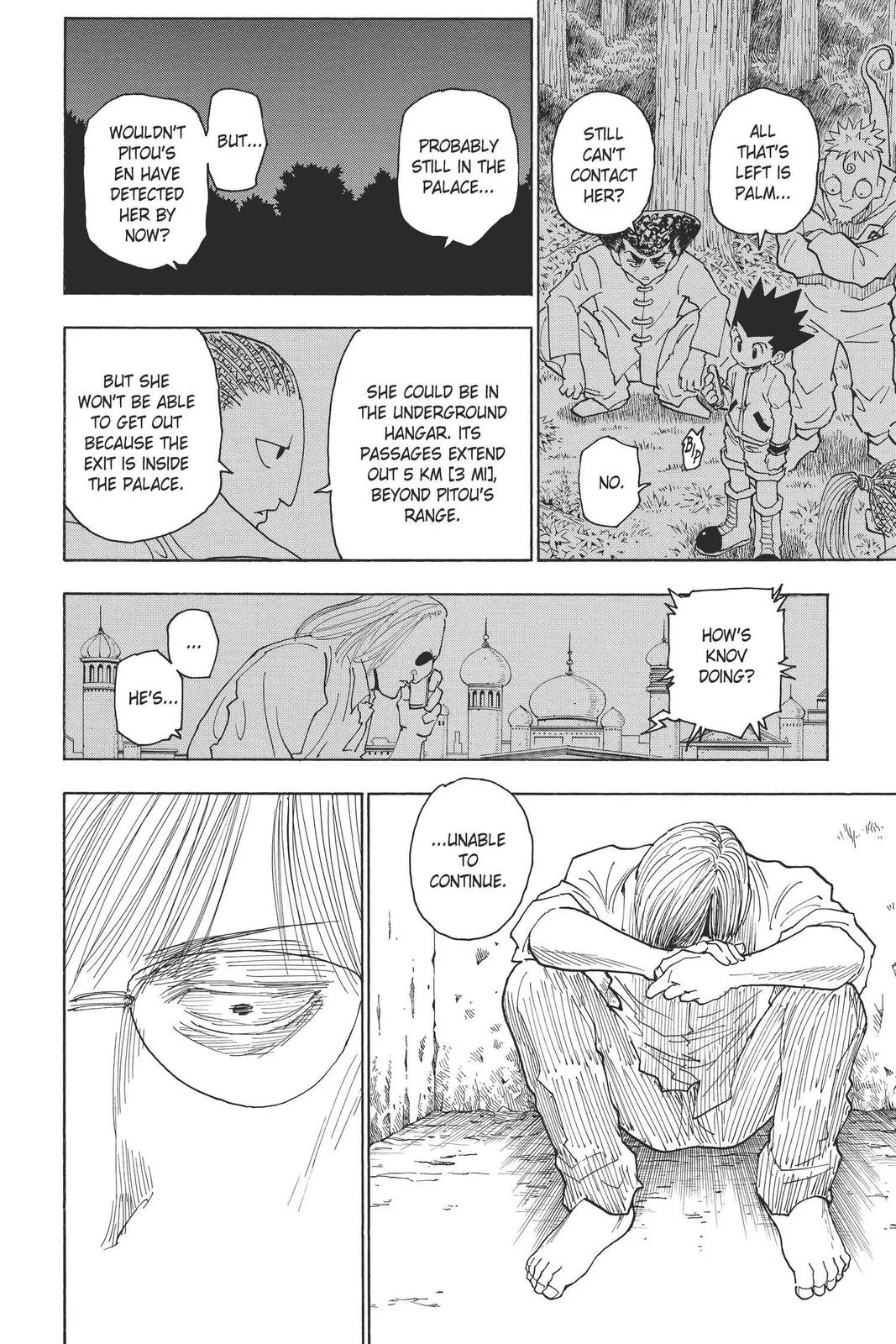 Hunter x Hunter - Chapter 255 - Page 13