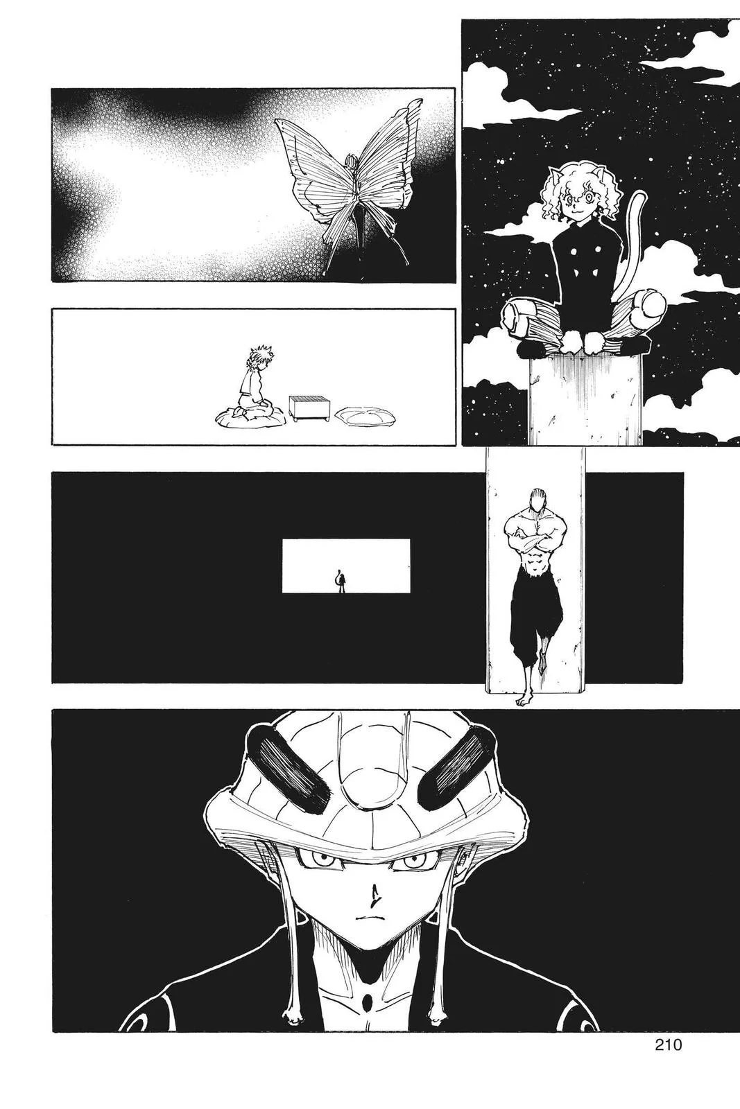 Hunter x Hunter - Chapter 260 - Page 10