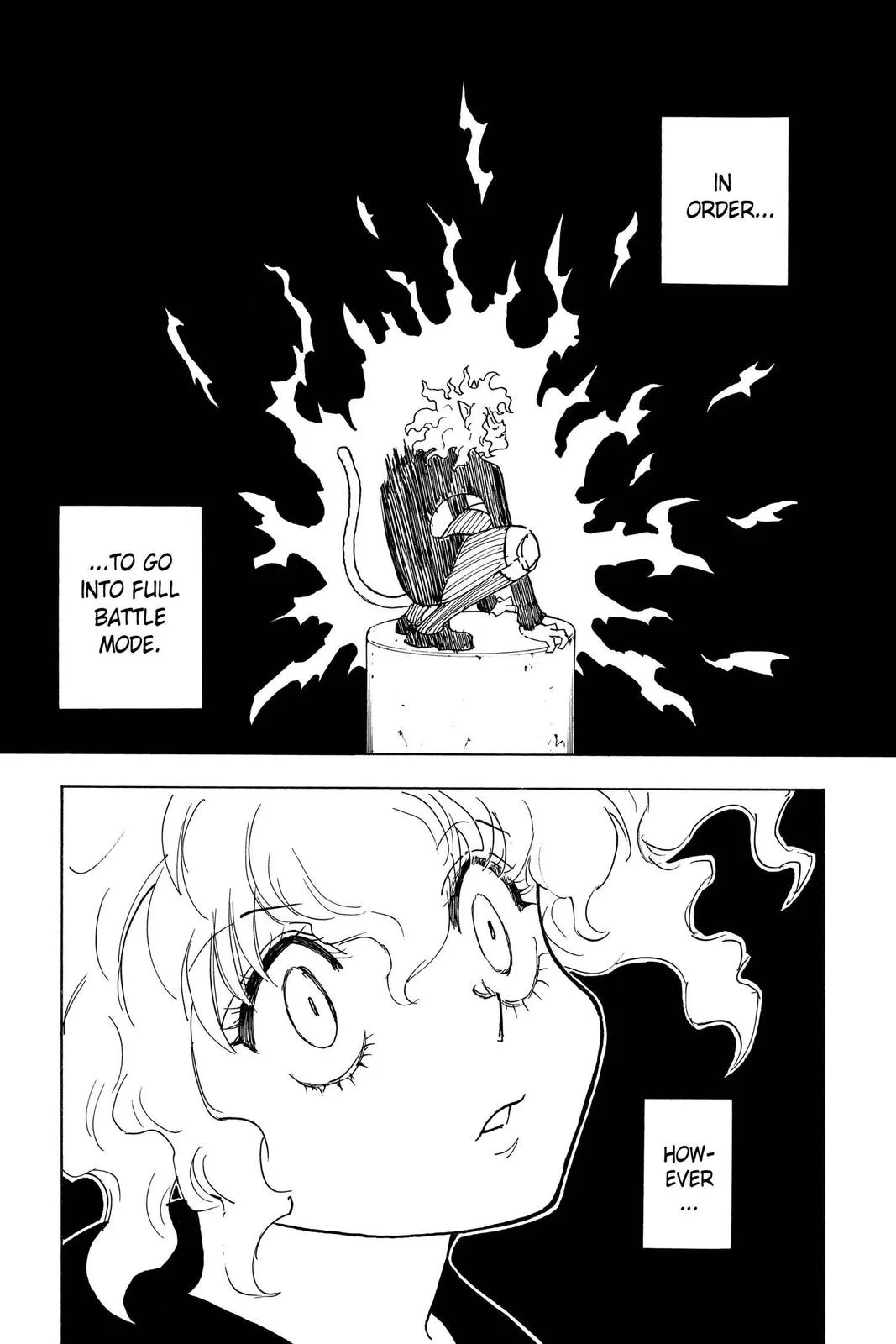 Hunter x Hunter - Chapter 263 - Page 14