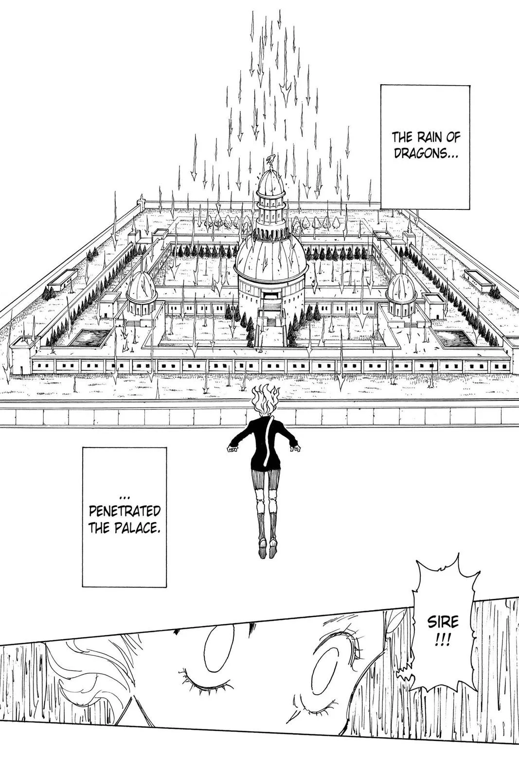 Hunter x Hunter - Chapter 265 - Page 13