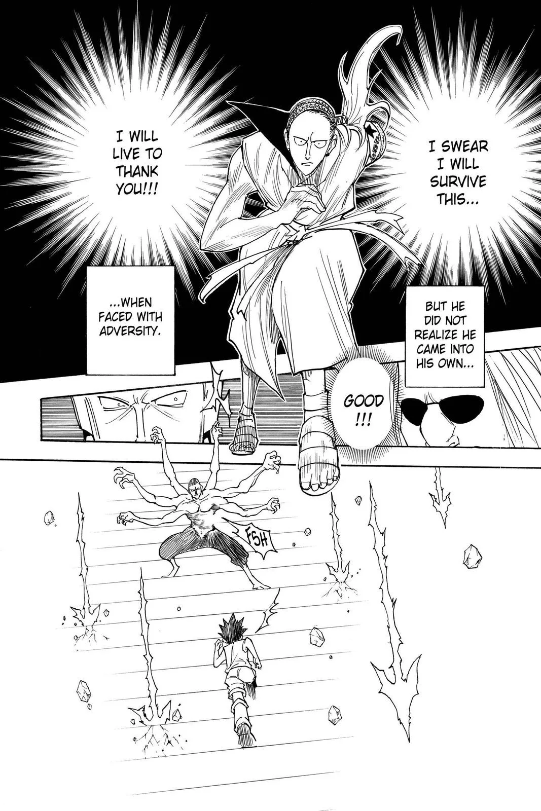 Hunter x Hunter - Chapter 266 - Page 13