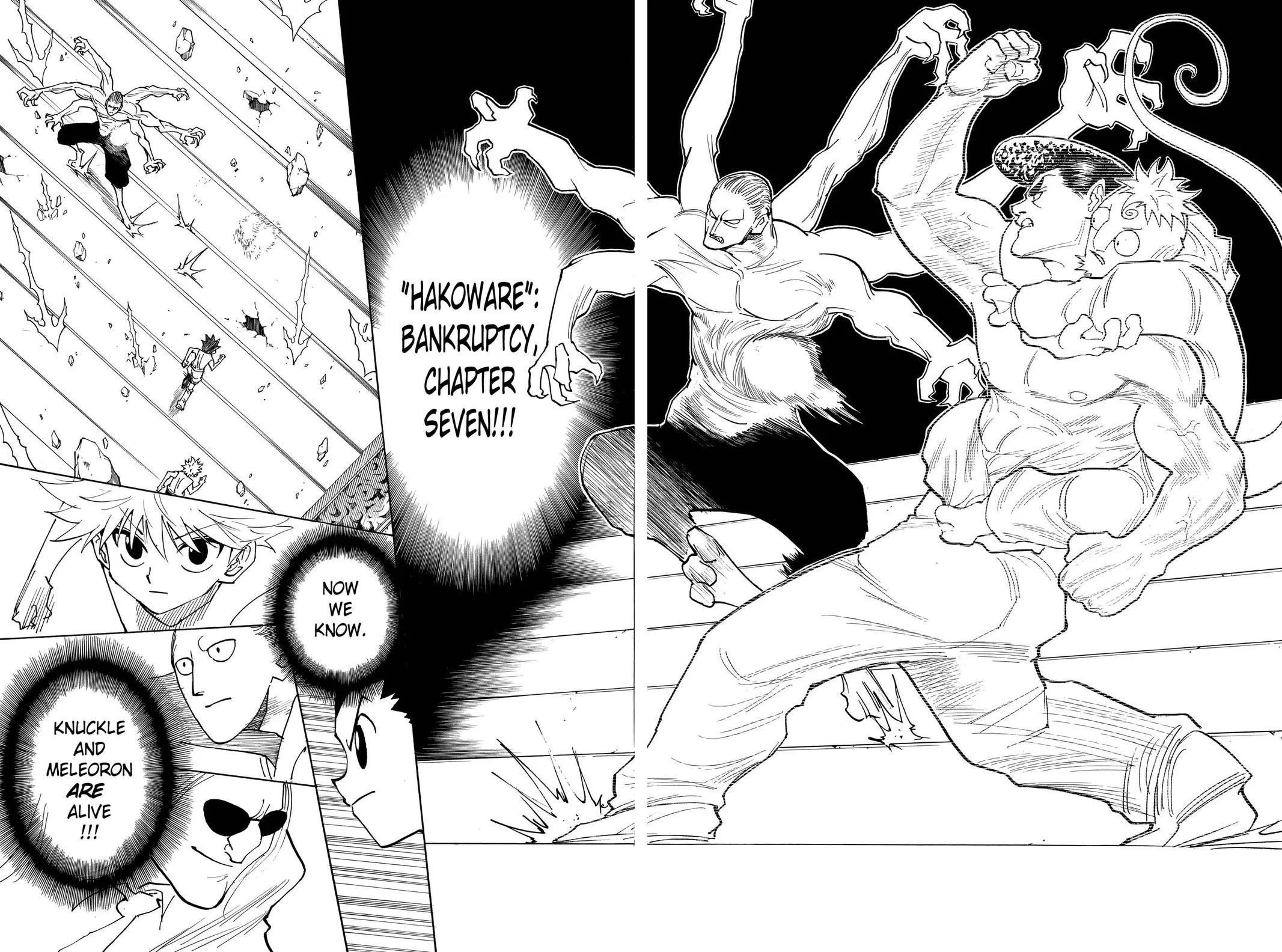Hunter x Hunter - Chapter 266 - Page 15