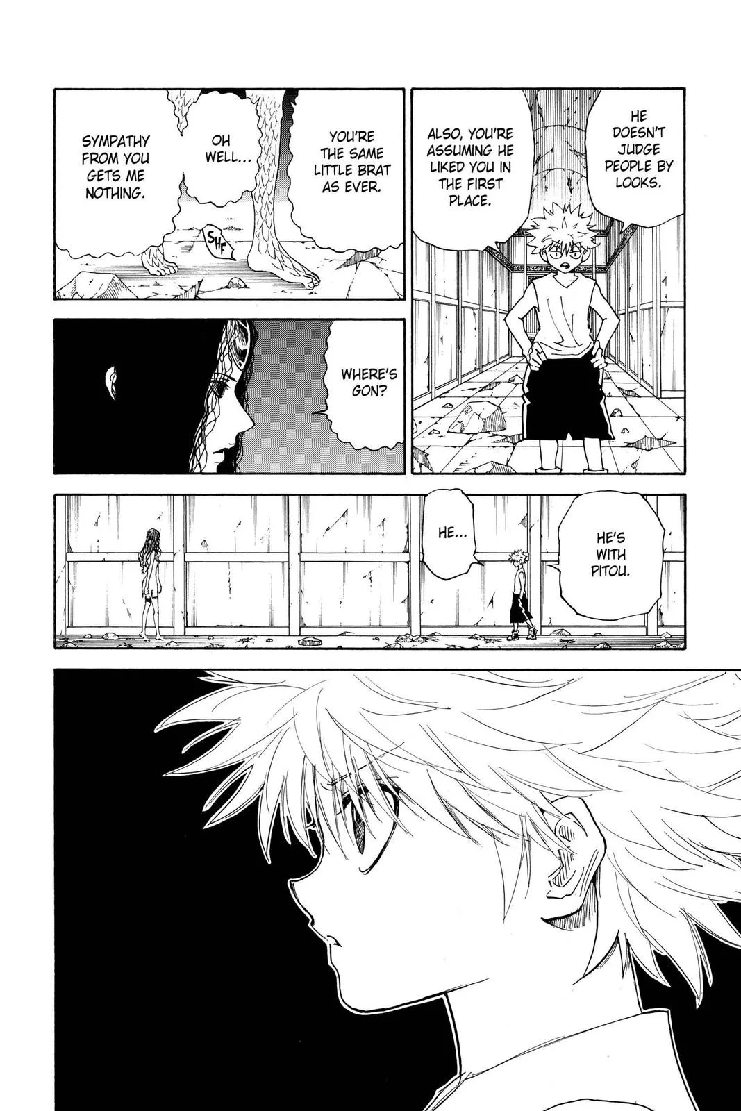 Hunter x Hunter - Chapter 293 - Page 10