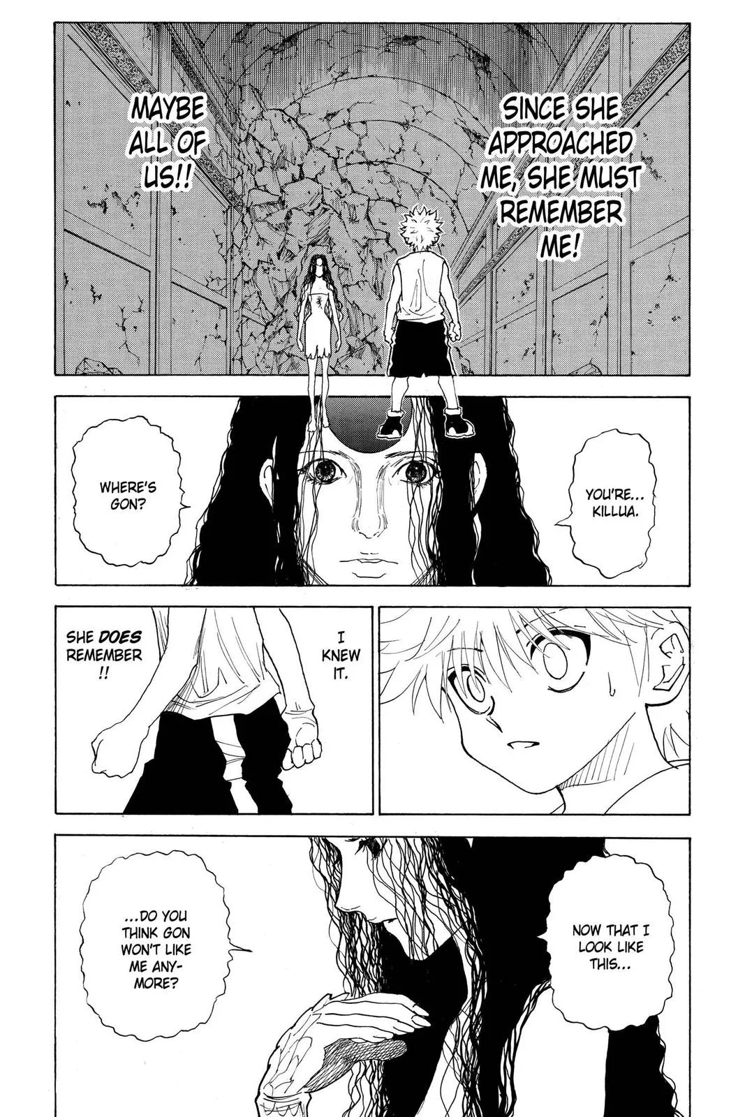 Hunter x Hunter - Chapter 293 - Page 9
