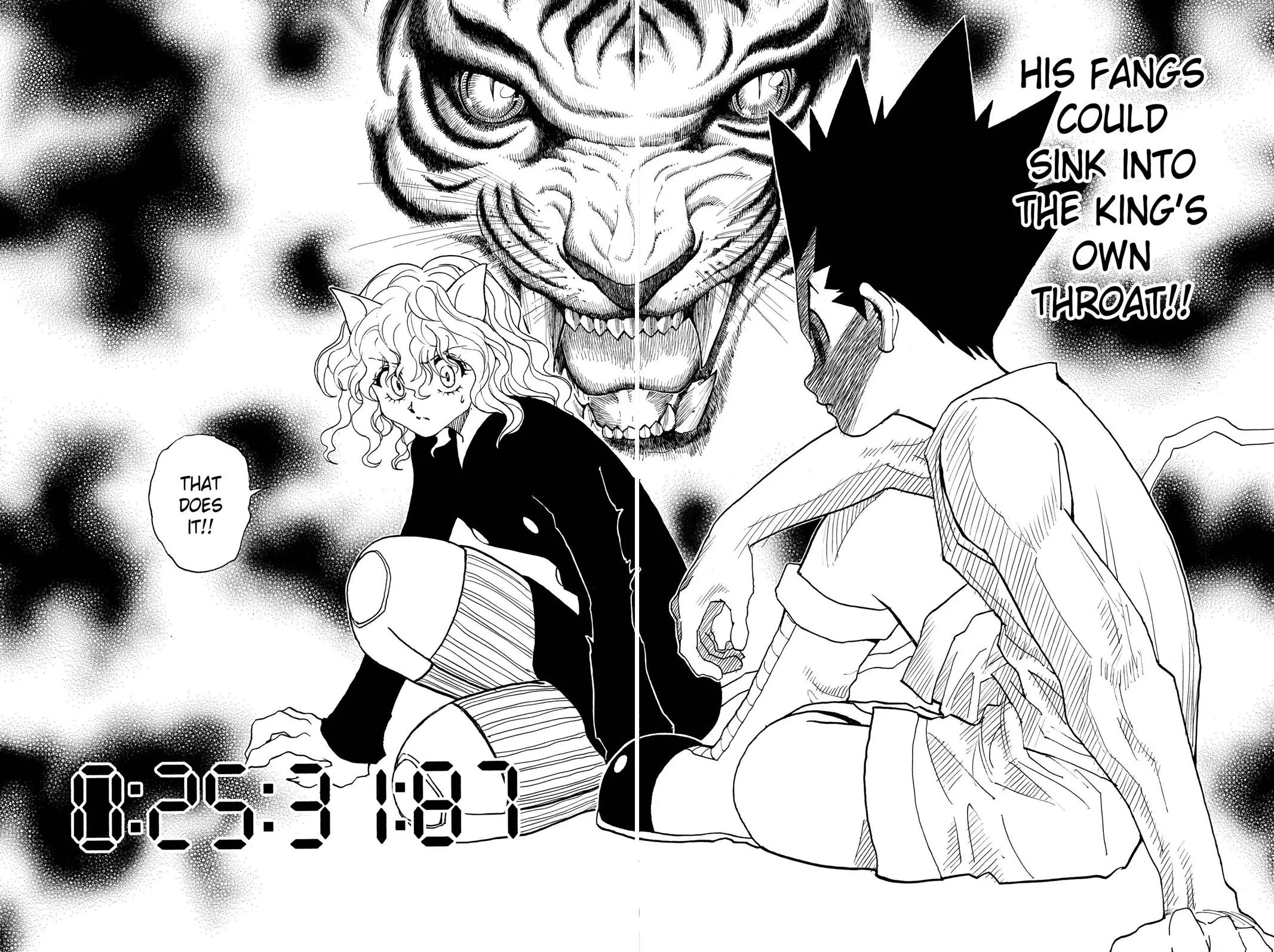 Hunter x Hunter - Chapter 295 - Page 14