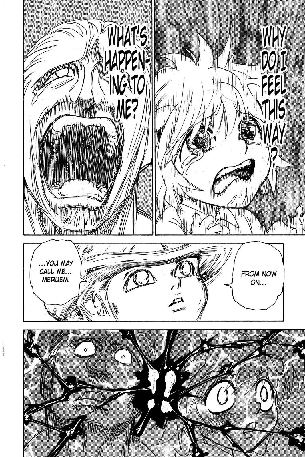 Hunter x Hunter - Chapter 299 - Page 14