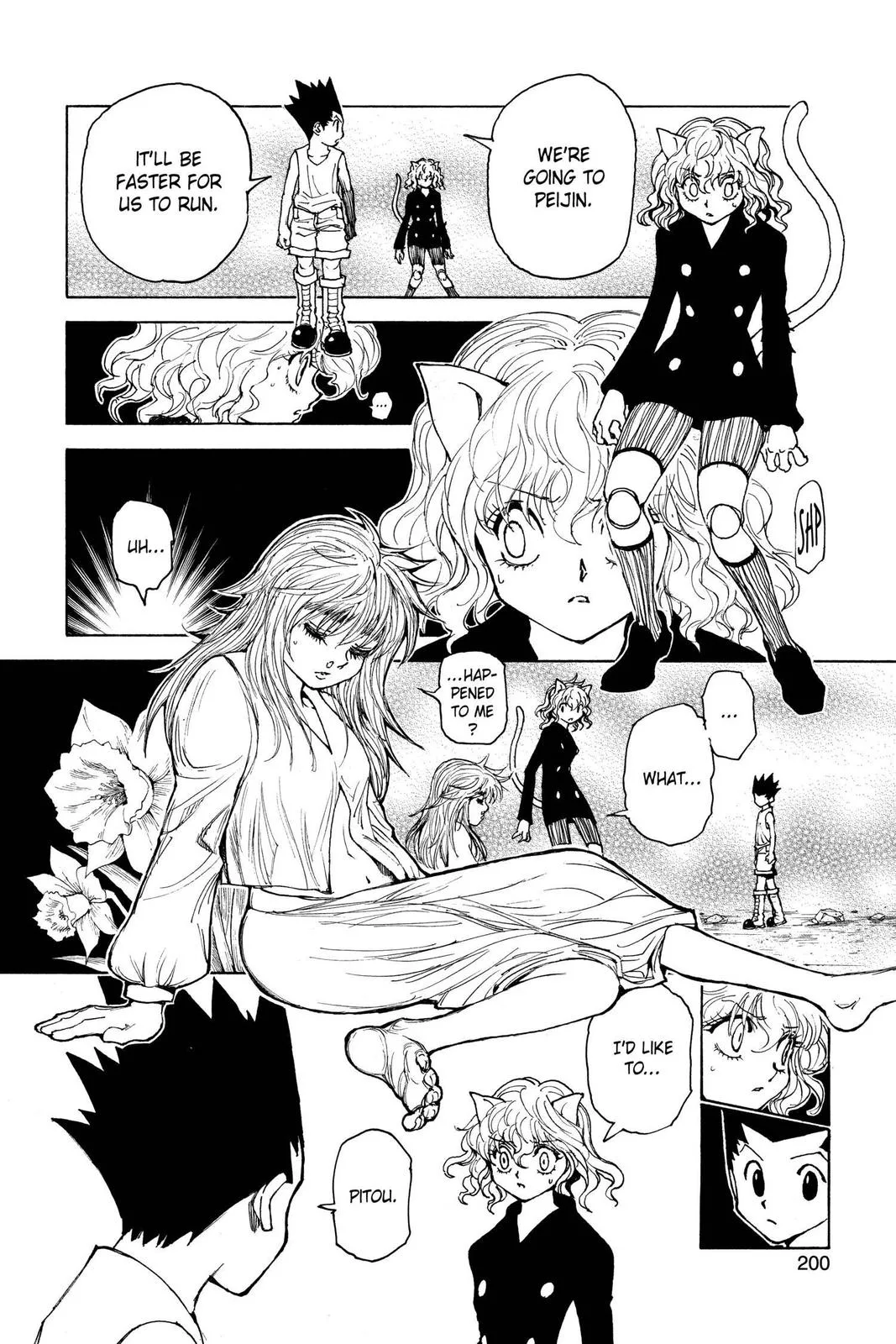 Hunter x Hunter - Chapter 300 - Page 11