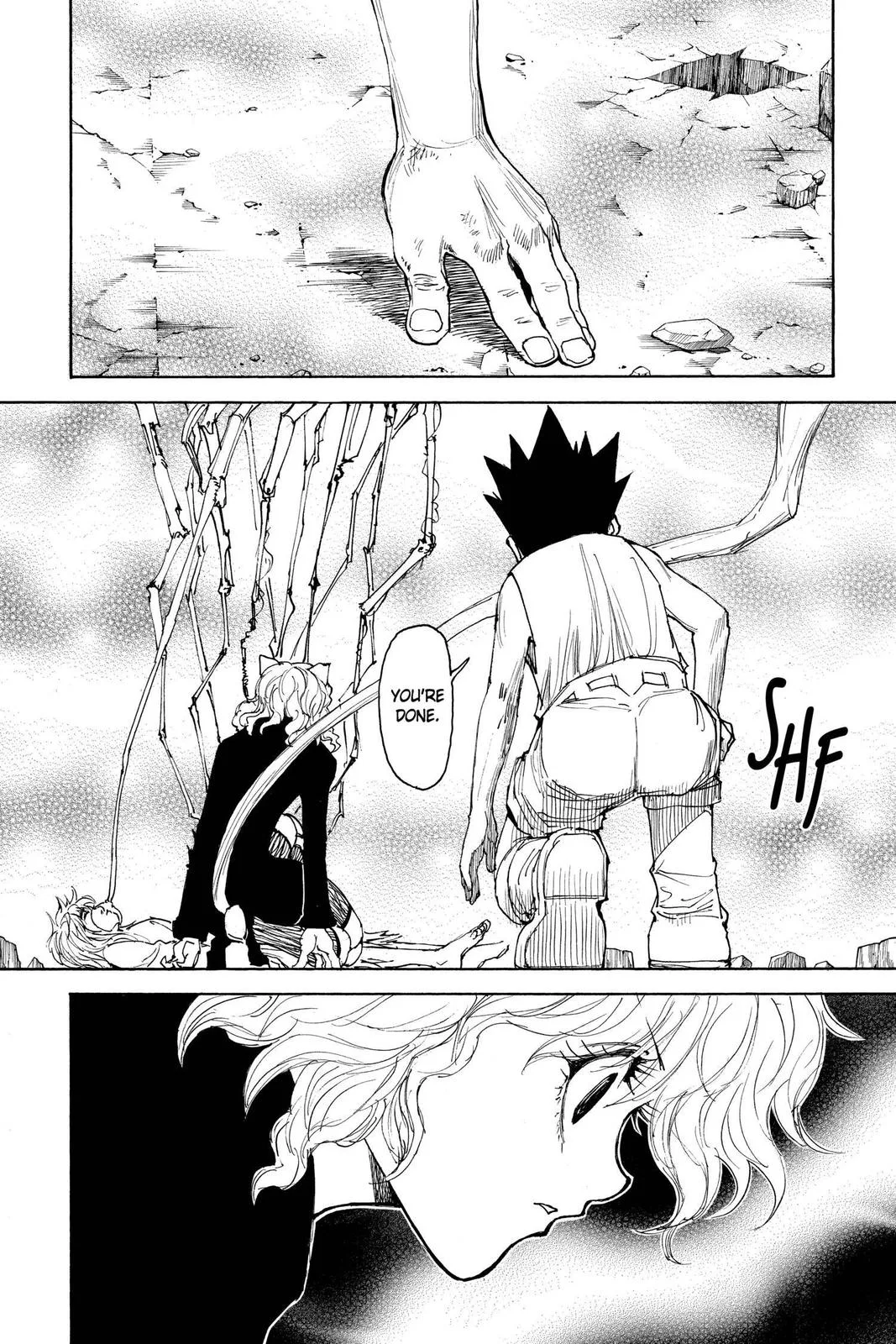 Hunter x Hunter - Chapter 300 - Page 8