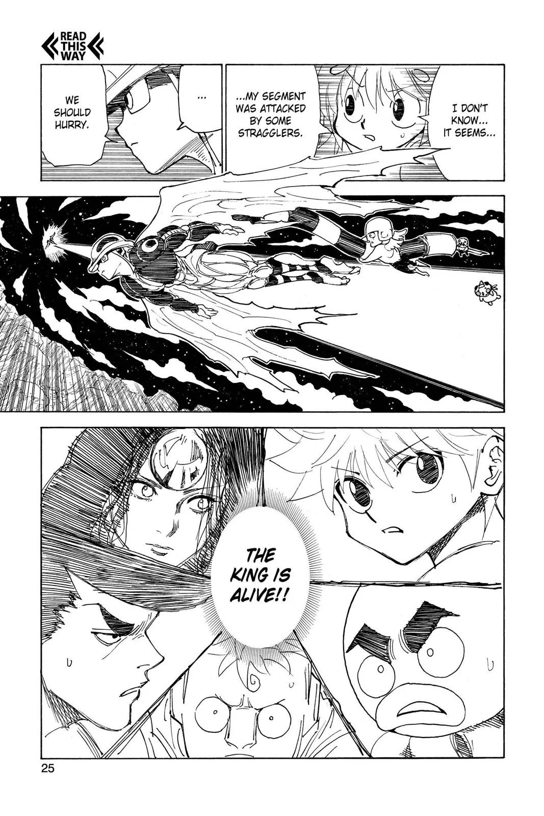 Hunter x Hunter - Chapter 301 - Page 25