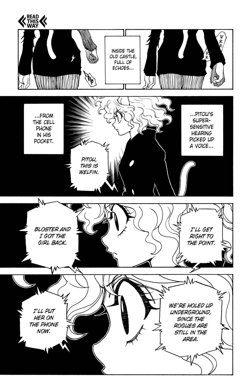 Hunter x Hunter - Chapter 304 - Page 8