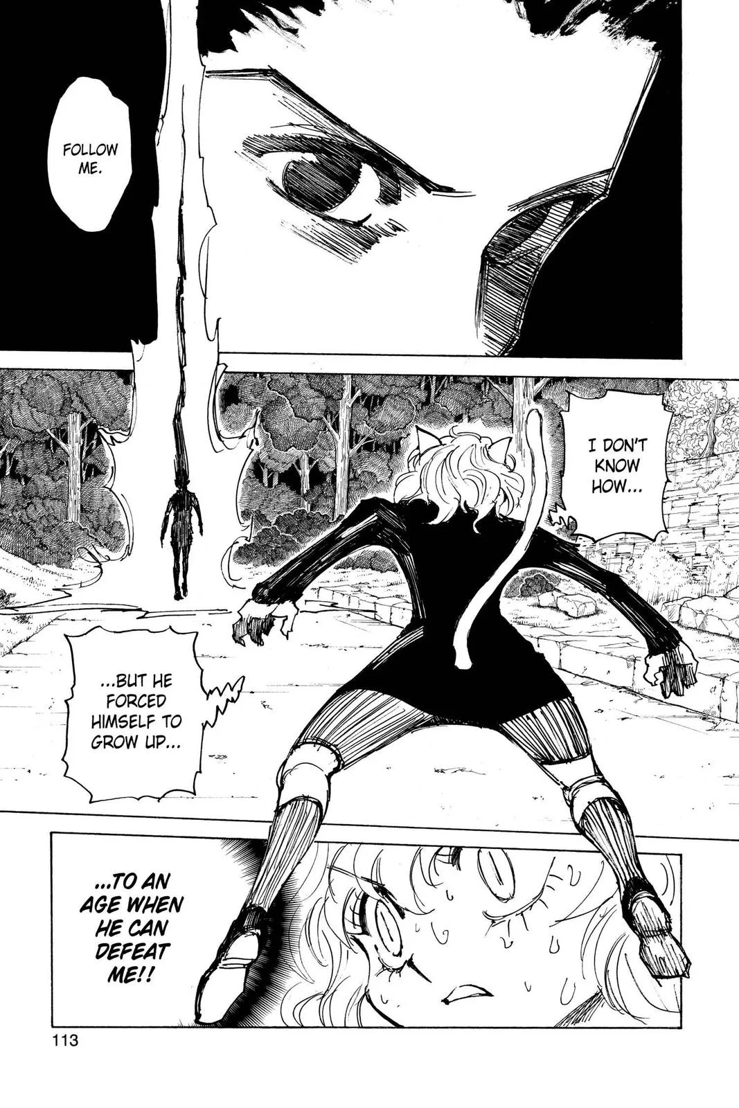 Hunter x Hunter - Chapter 306 - Page 6