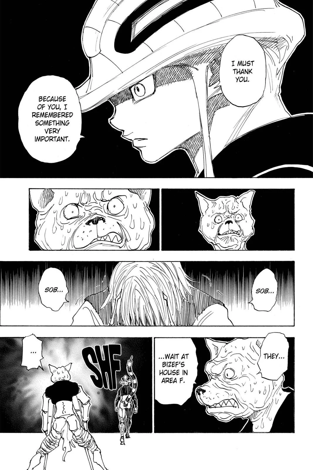 Hunter x Hunter - Chapter 313 - Page 12
