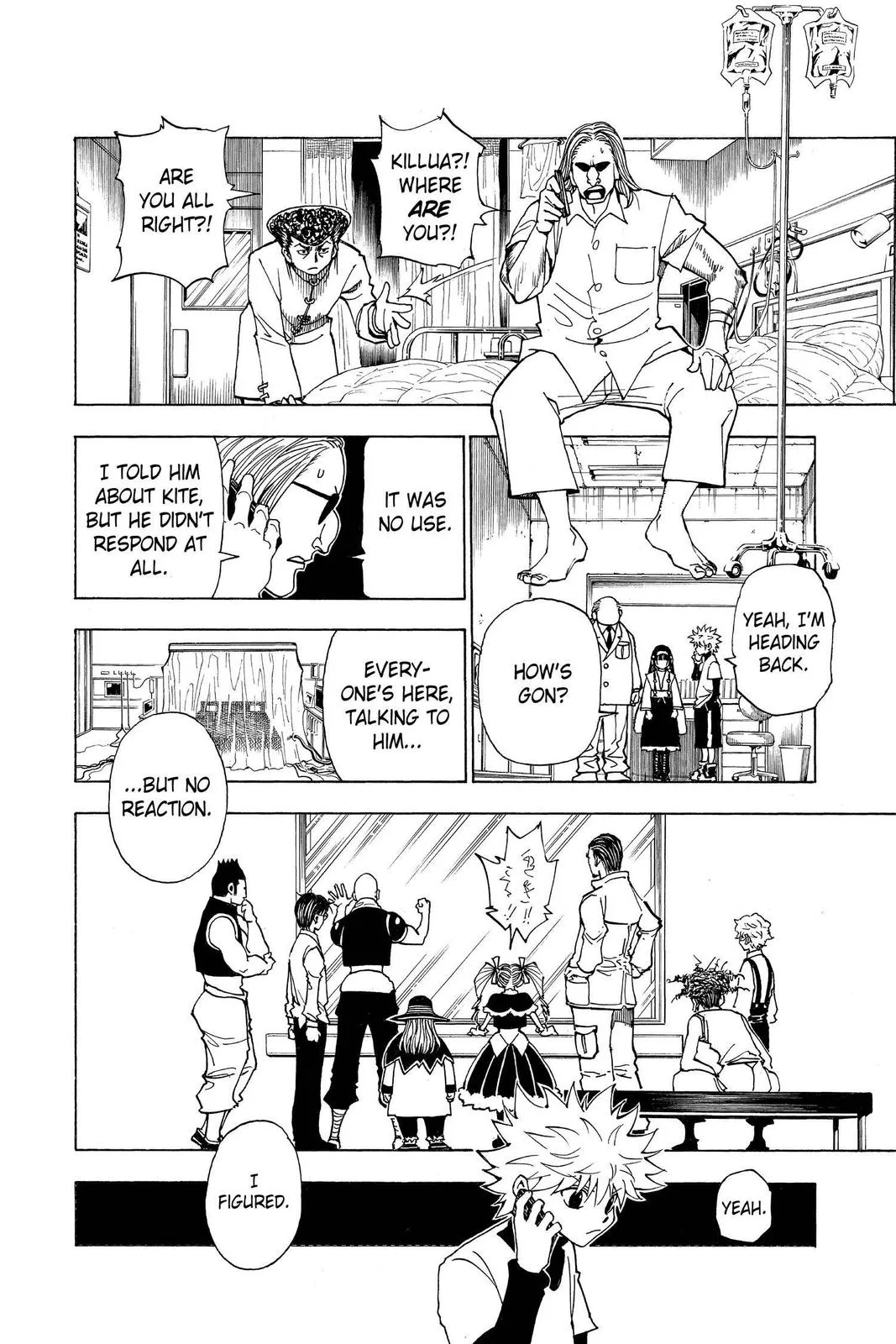 Hunter x Hunter - Chapter 324 - Page 10