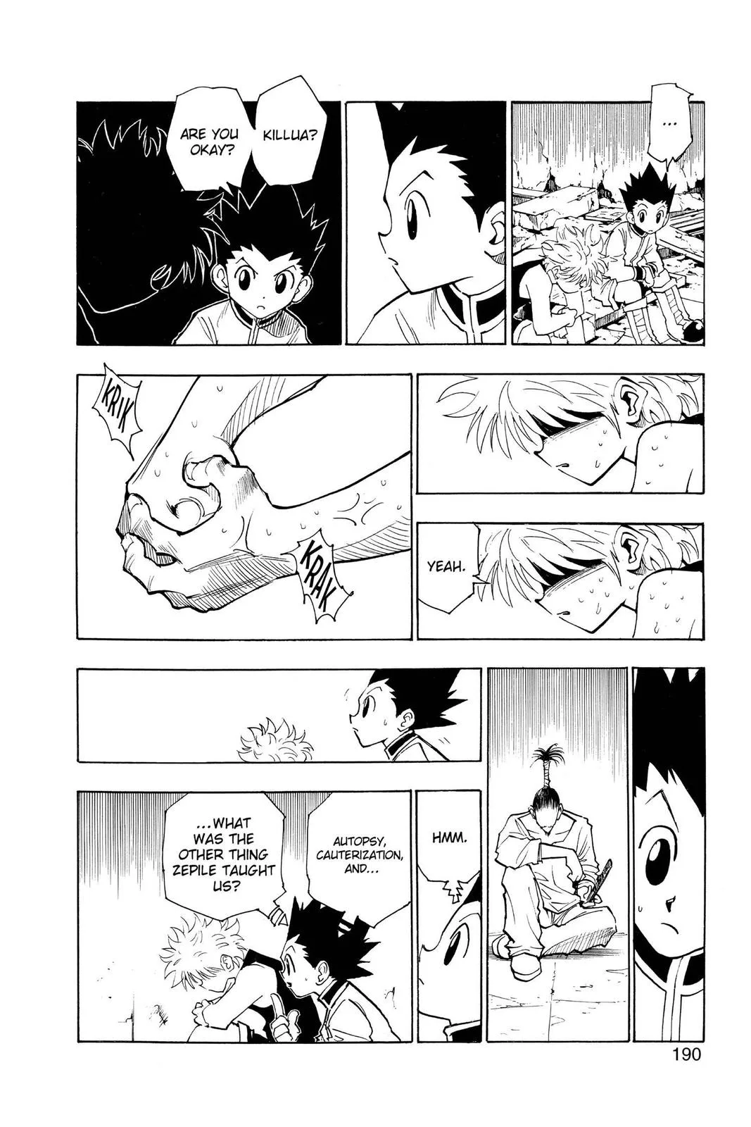 Hunter x Hunter - Chapter 93 - Page 10