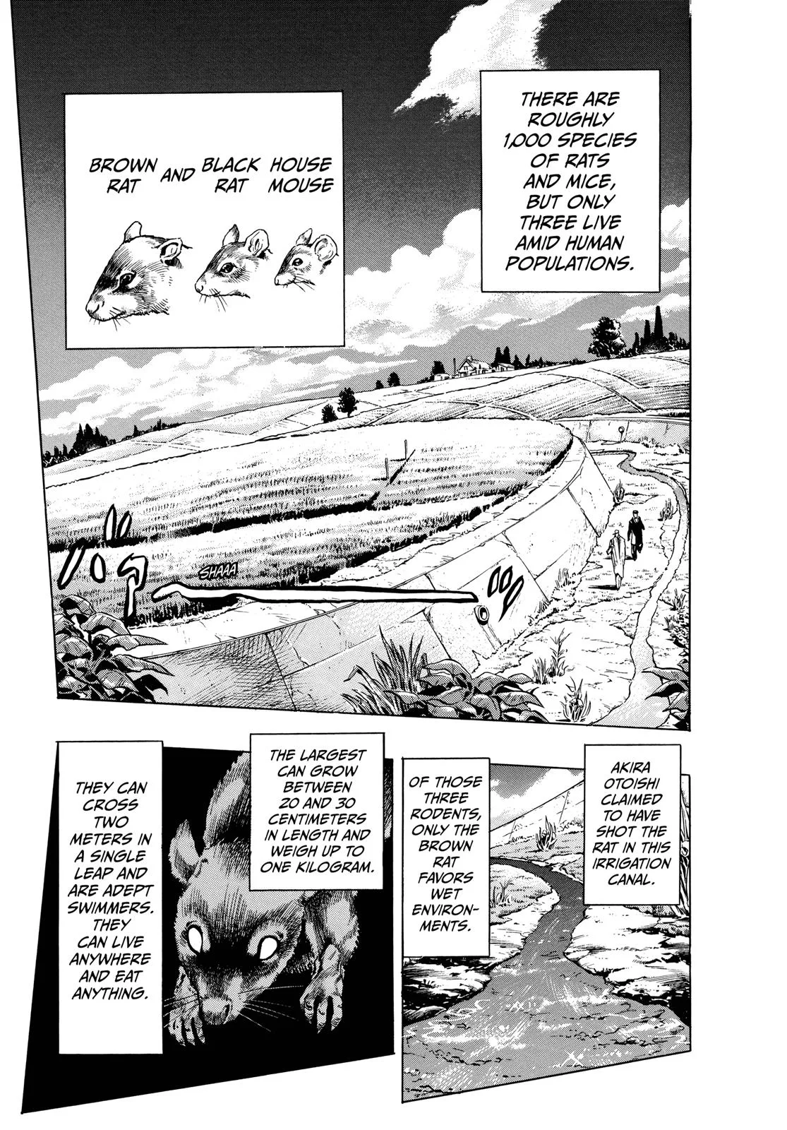 JoJo's Bizarre Adventure - Chapter 325 - Page 11