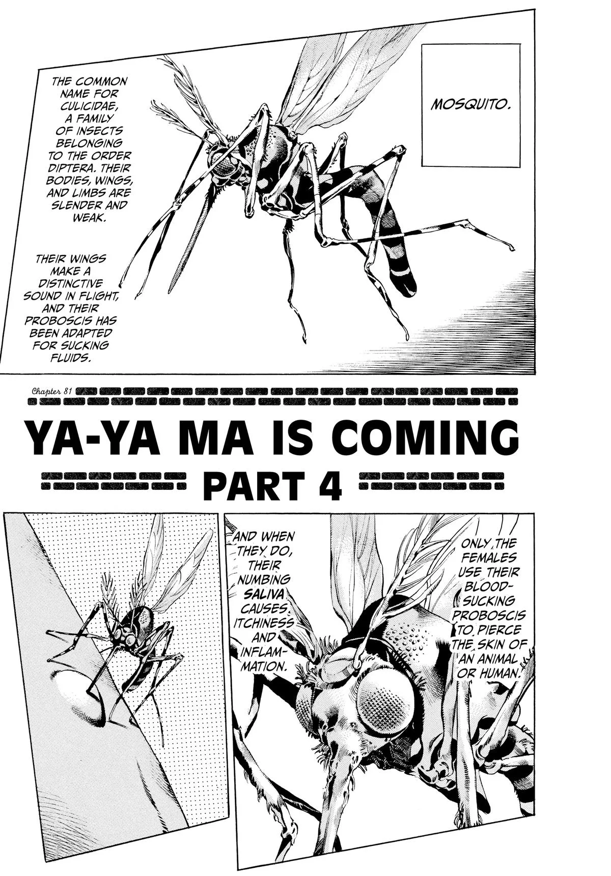 JoJo's Bizarre Adventure - Chapter 675 - Page 1