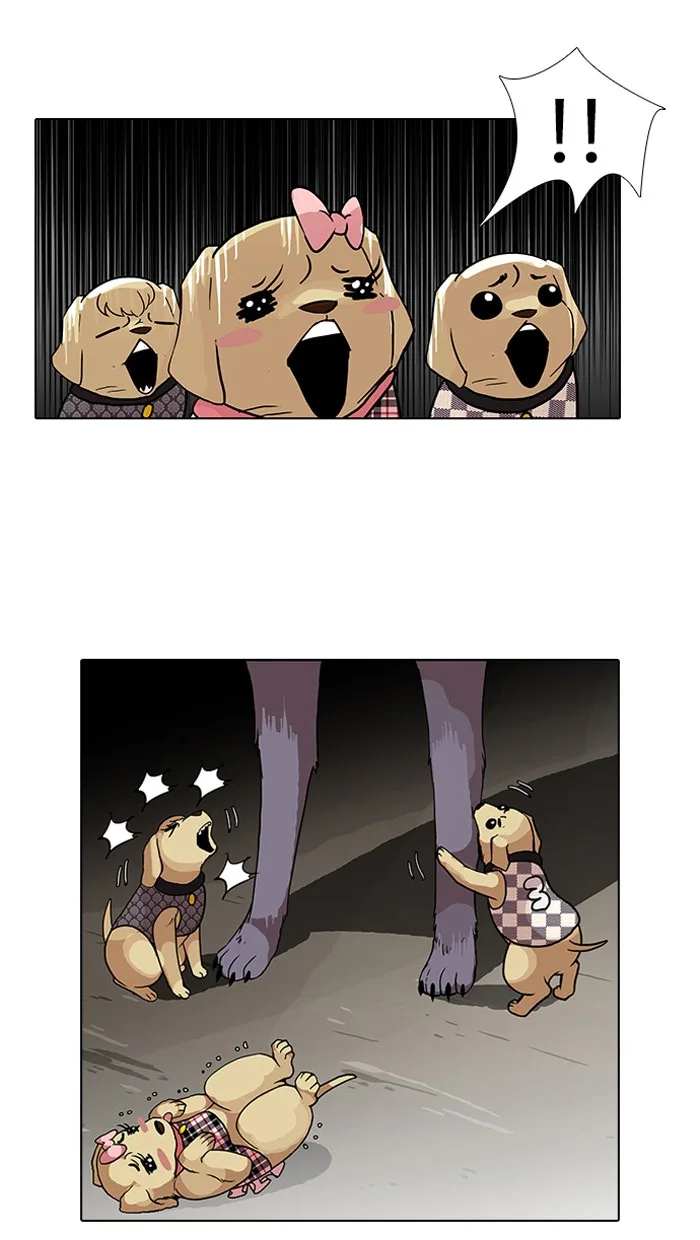 Lookism - Chapter 69 - Page 36
