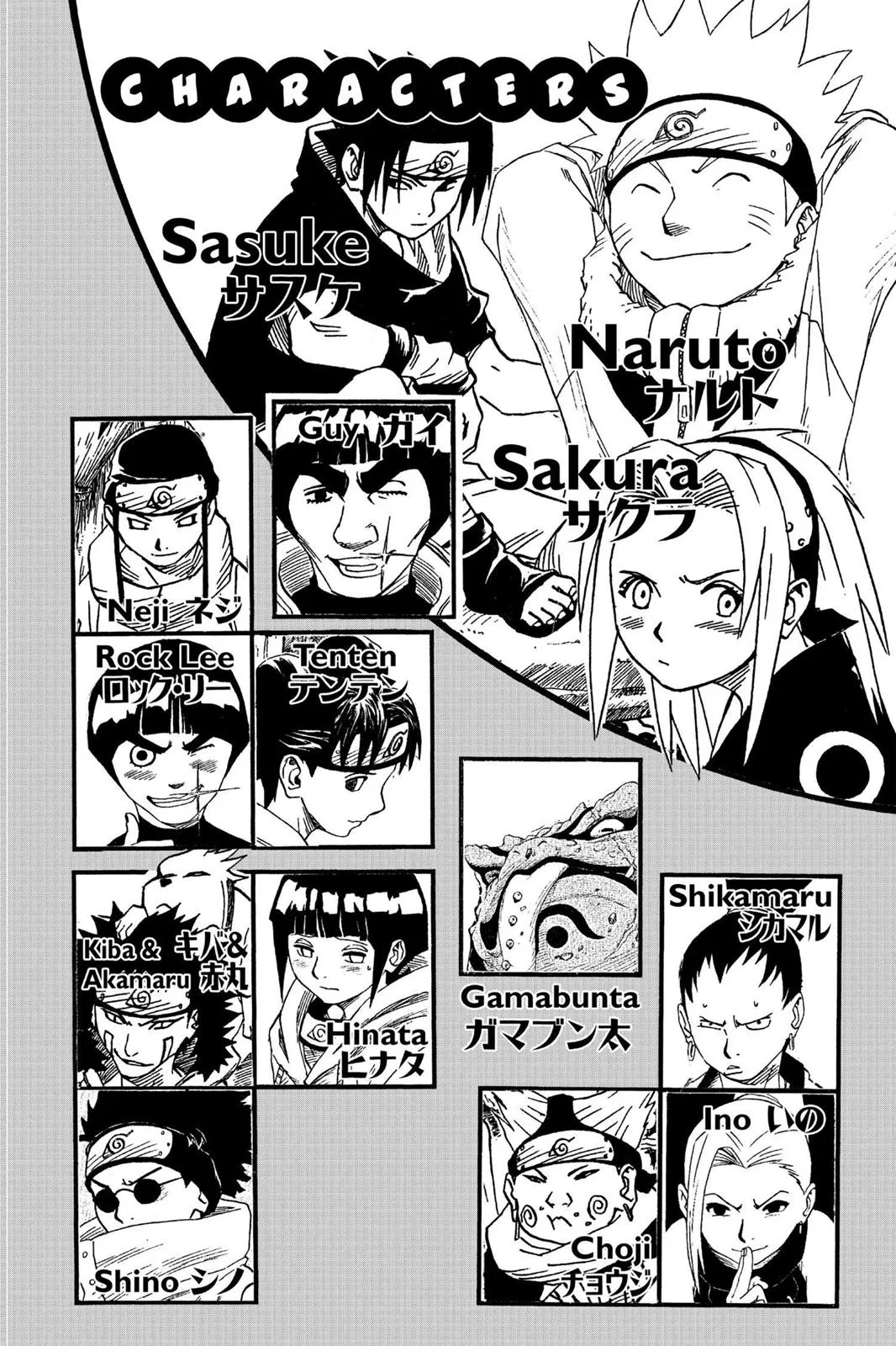 Naruto - Chapter 127 - Page 5