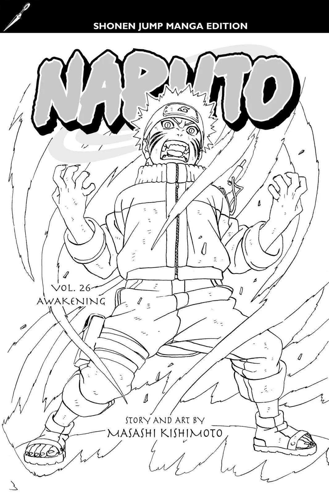 Naruto - Chapter 227 - Page 4