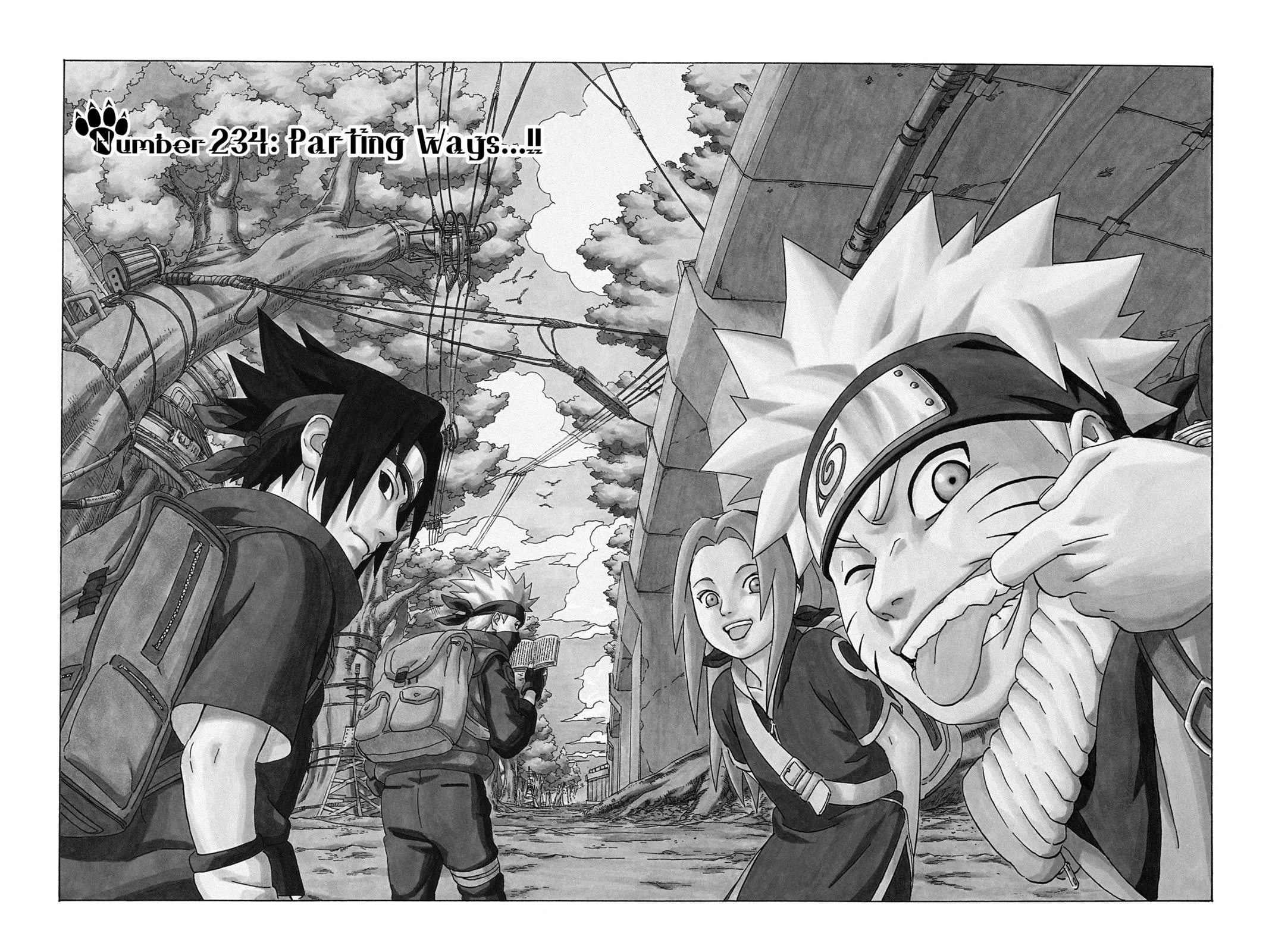 Naruto - Chapter 234 - Page 2