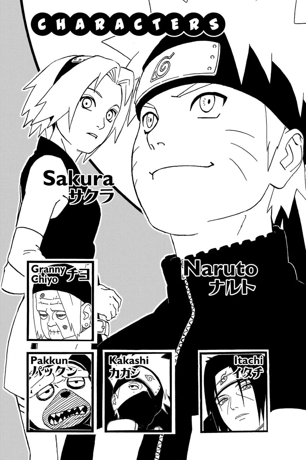 Naruto - Chapter 254 - Page 5