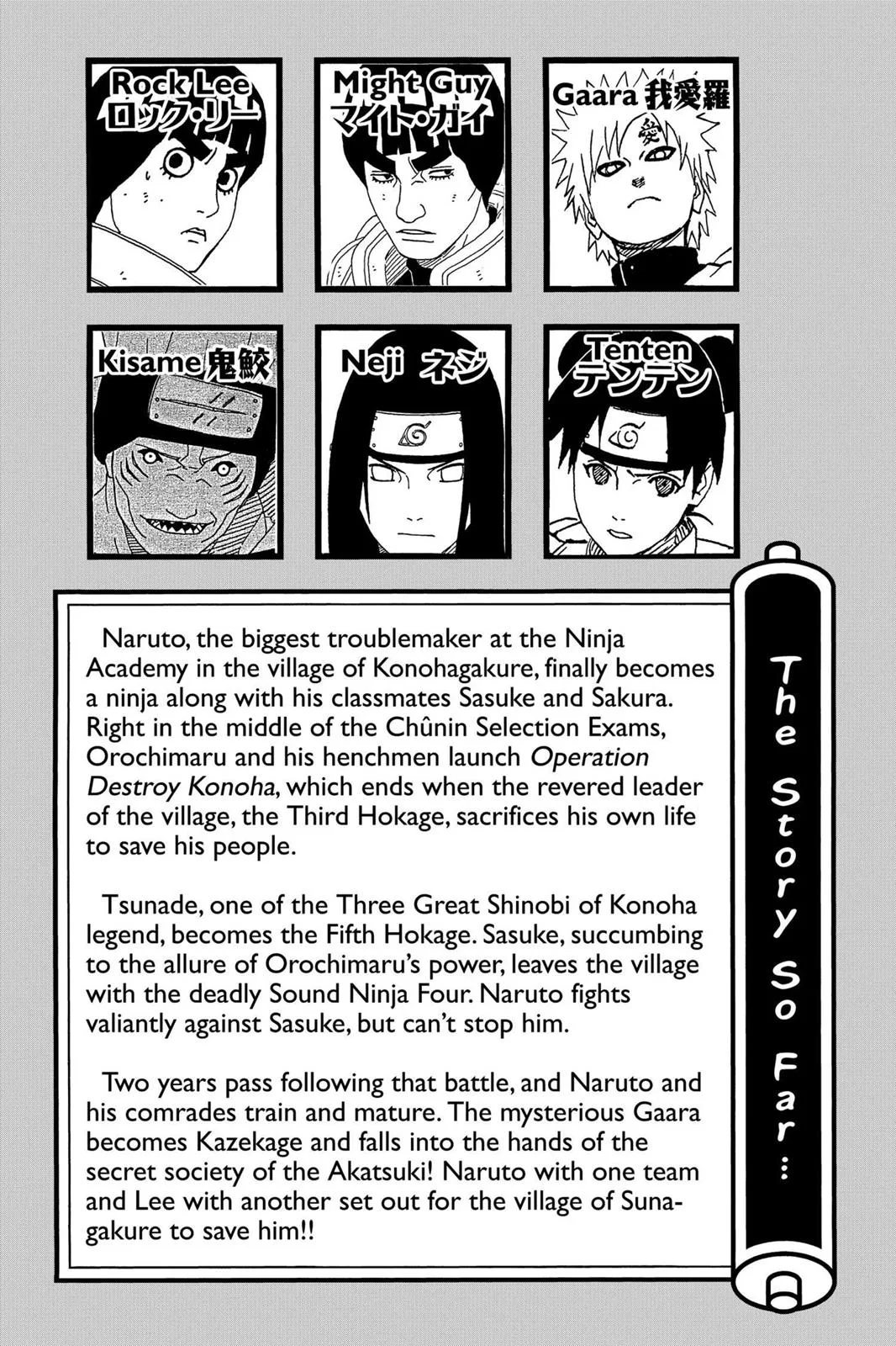 Naruto - Chapter 254 - Page 6