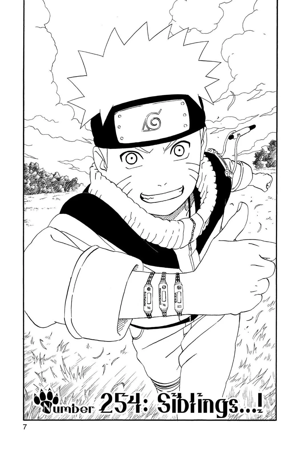 Naruto - Chapter 254 - Page 8