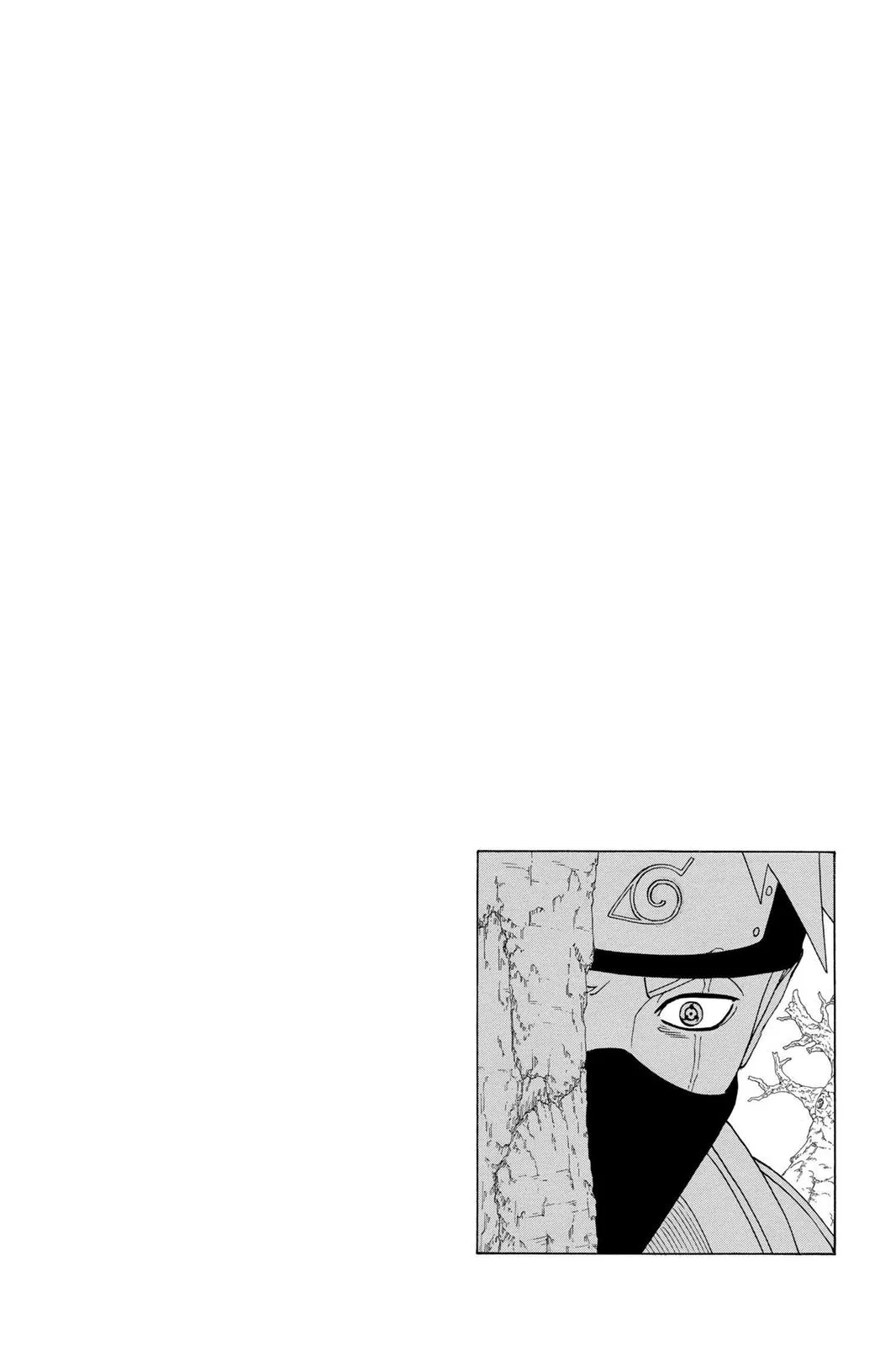 Naruto - Chapter 333 - Page 17