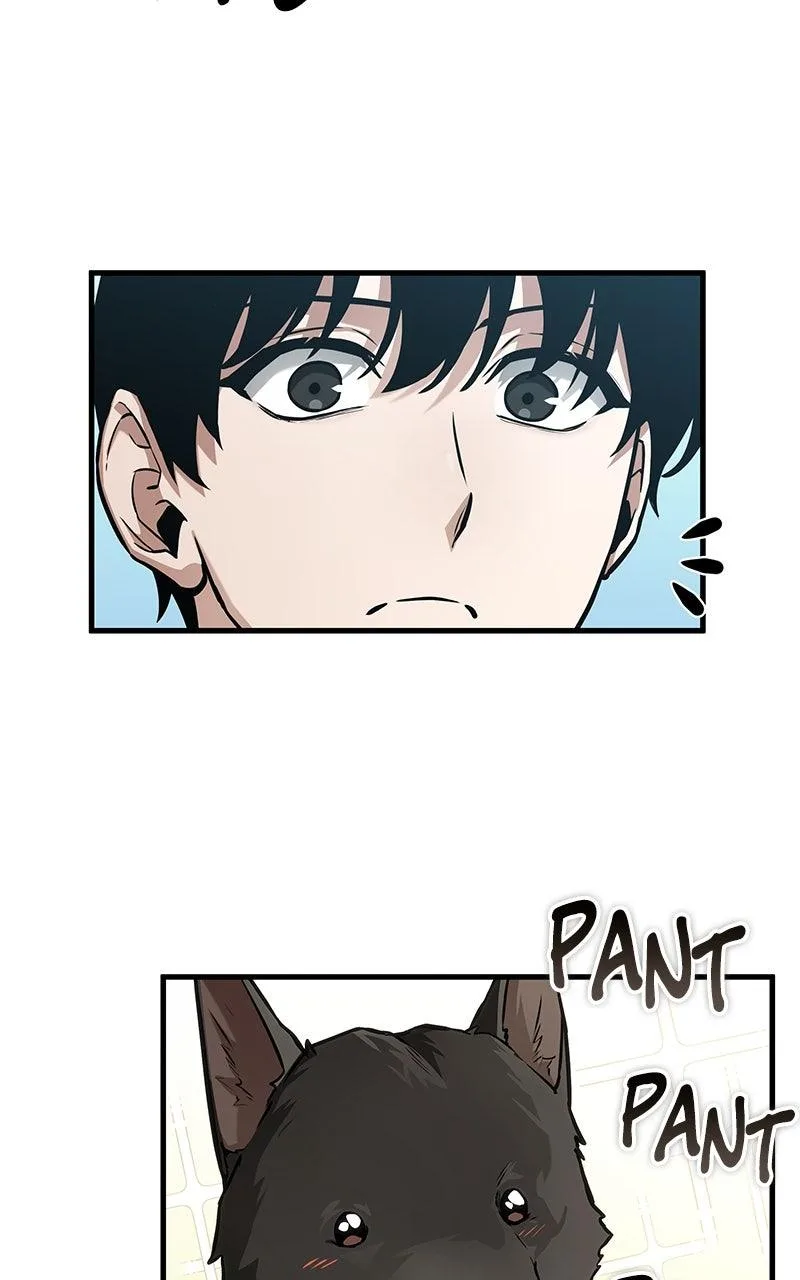 Omniscient Reader's Viewpoint - Chapter 266 - Page 82