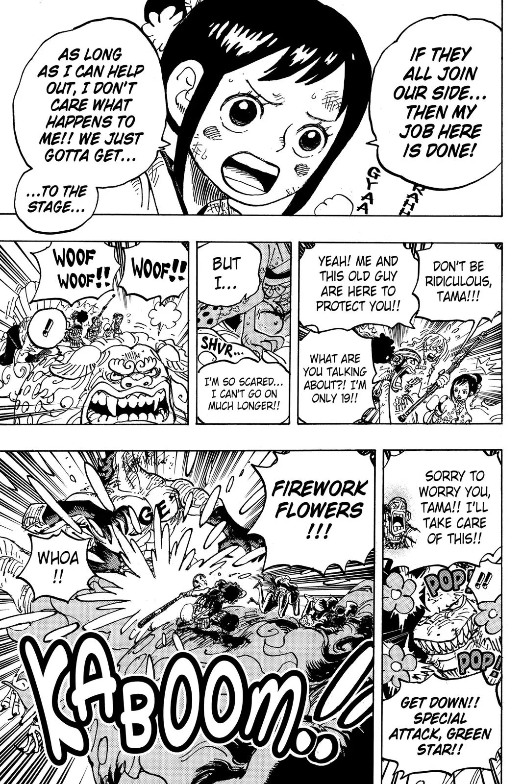 One Piece - Chapter 1011 - Page 13