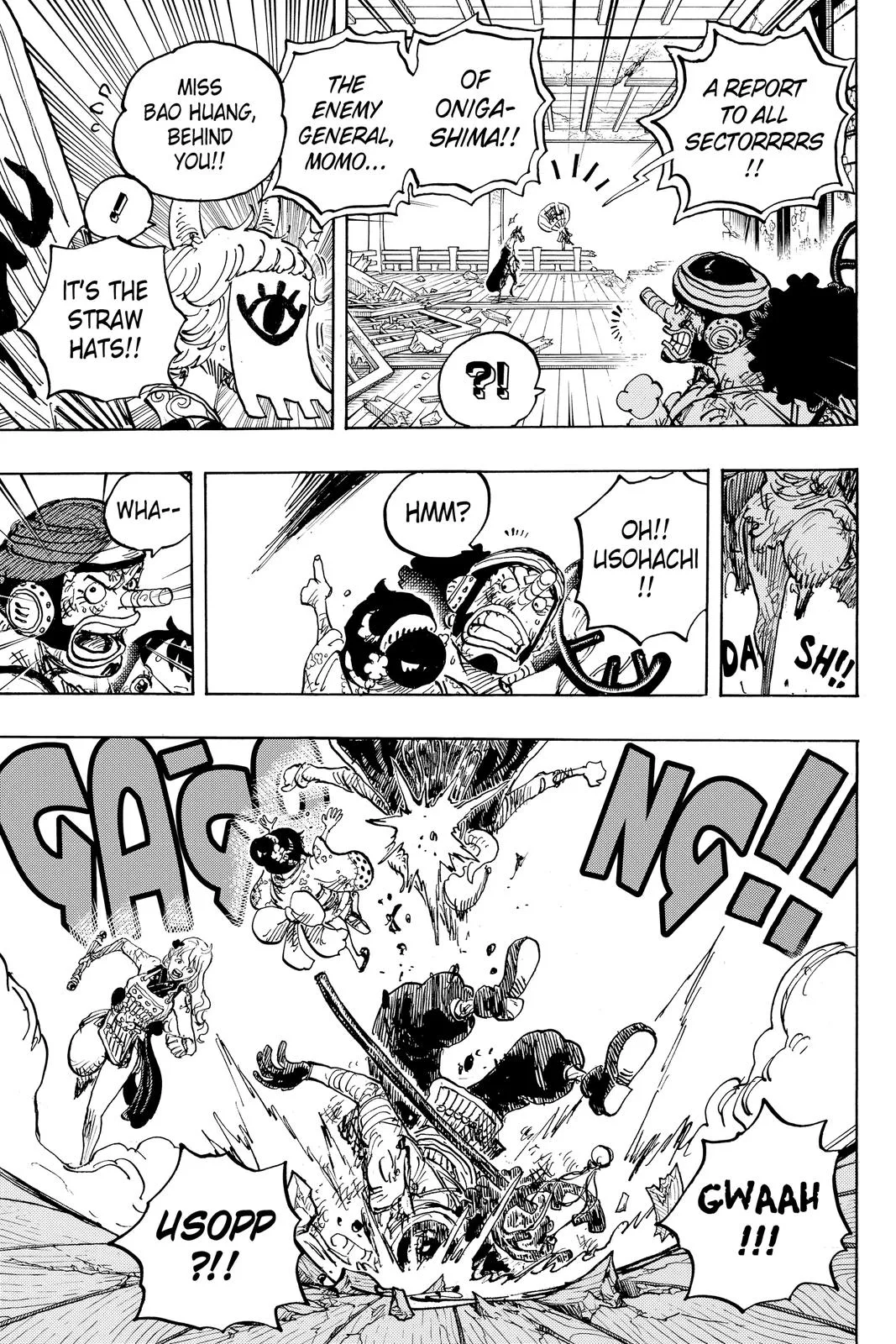 One Piece - Chapter 1016 - Page 13