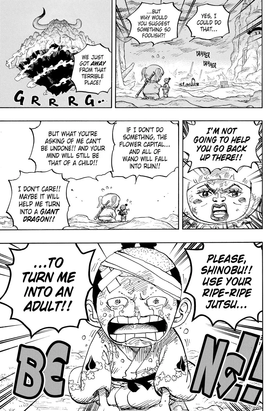 One Piece - Chapter 1021 - Page 15
