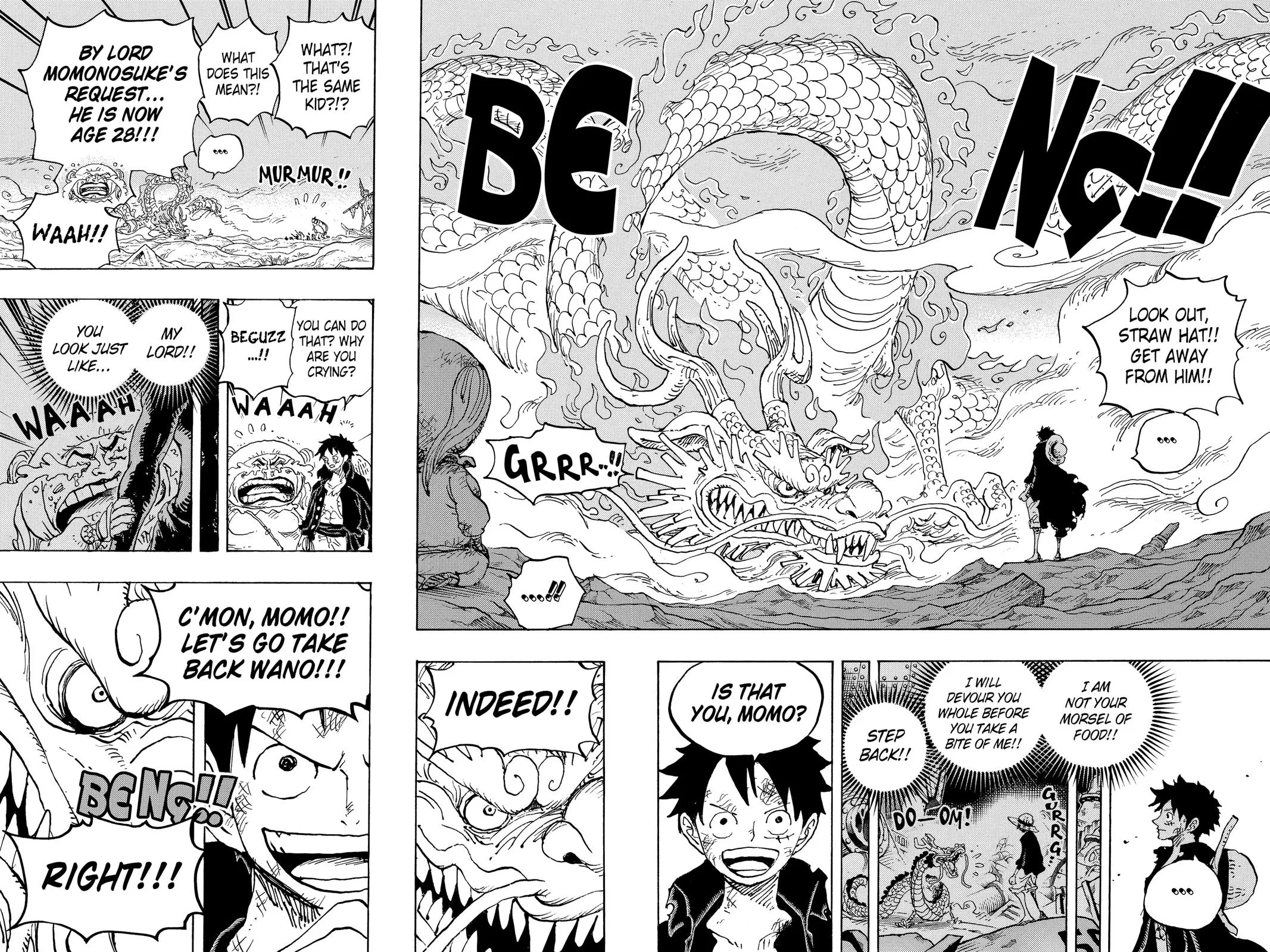 One Piece - Chapter 1023 - Page 16