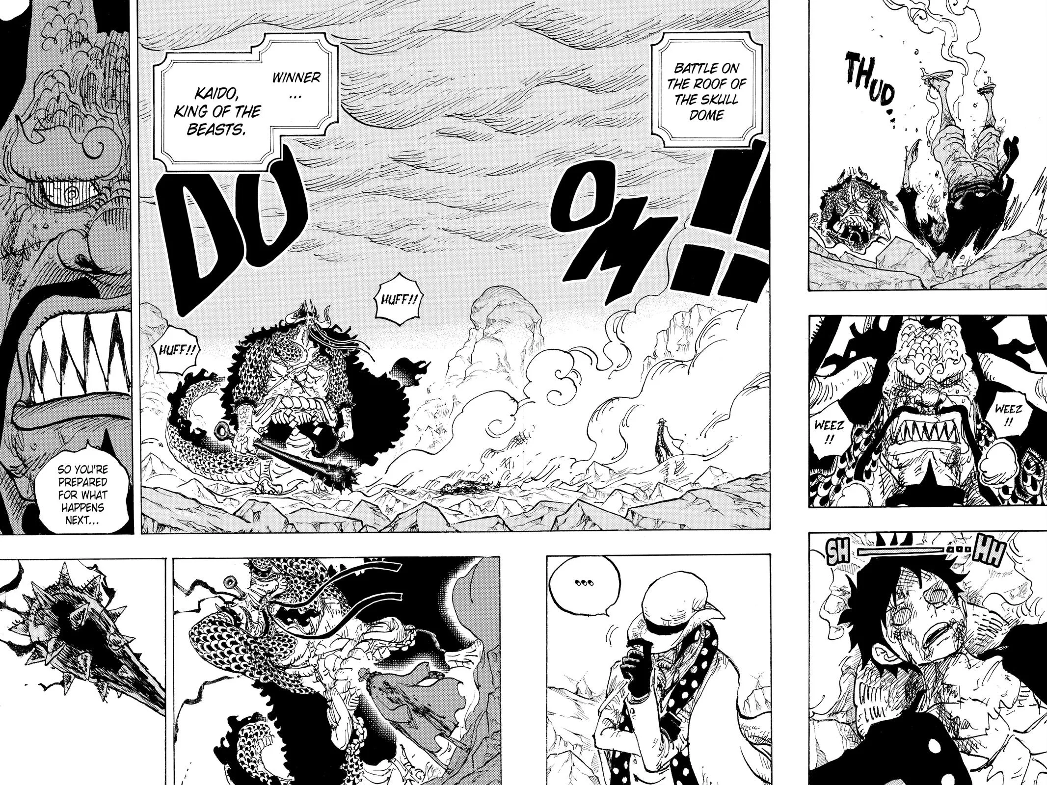 One Piece - Chapter 1043 - Page 4