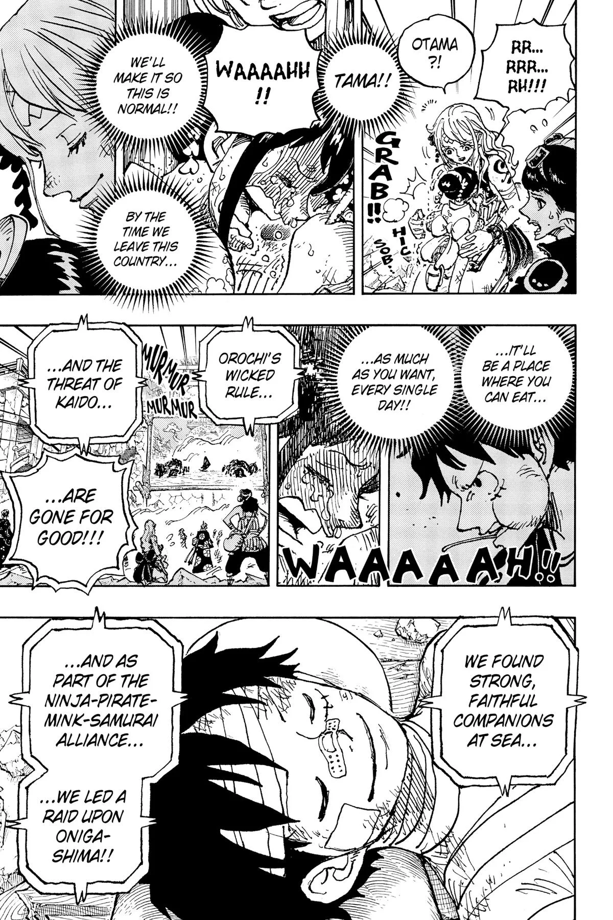 One Piece - Chapter 1051 - Page 11