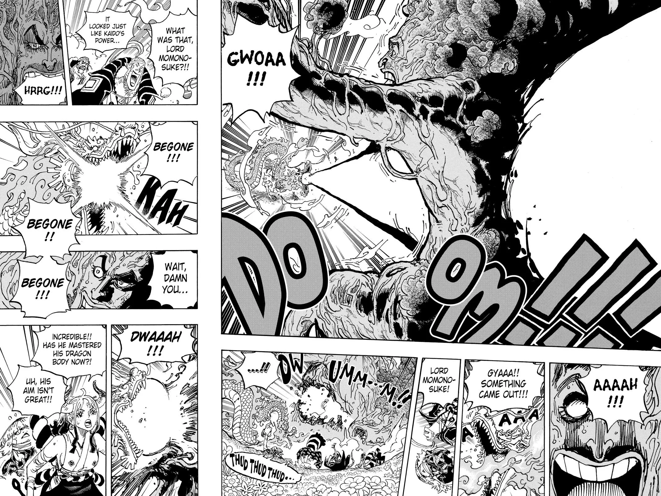 One Piece - Chapter 1055 - Page 13