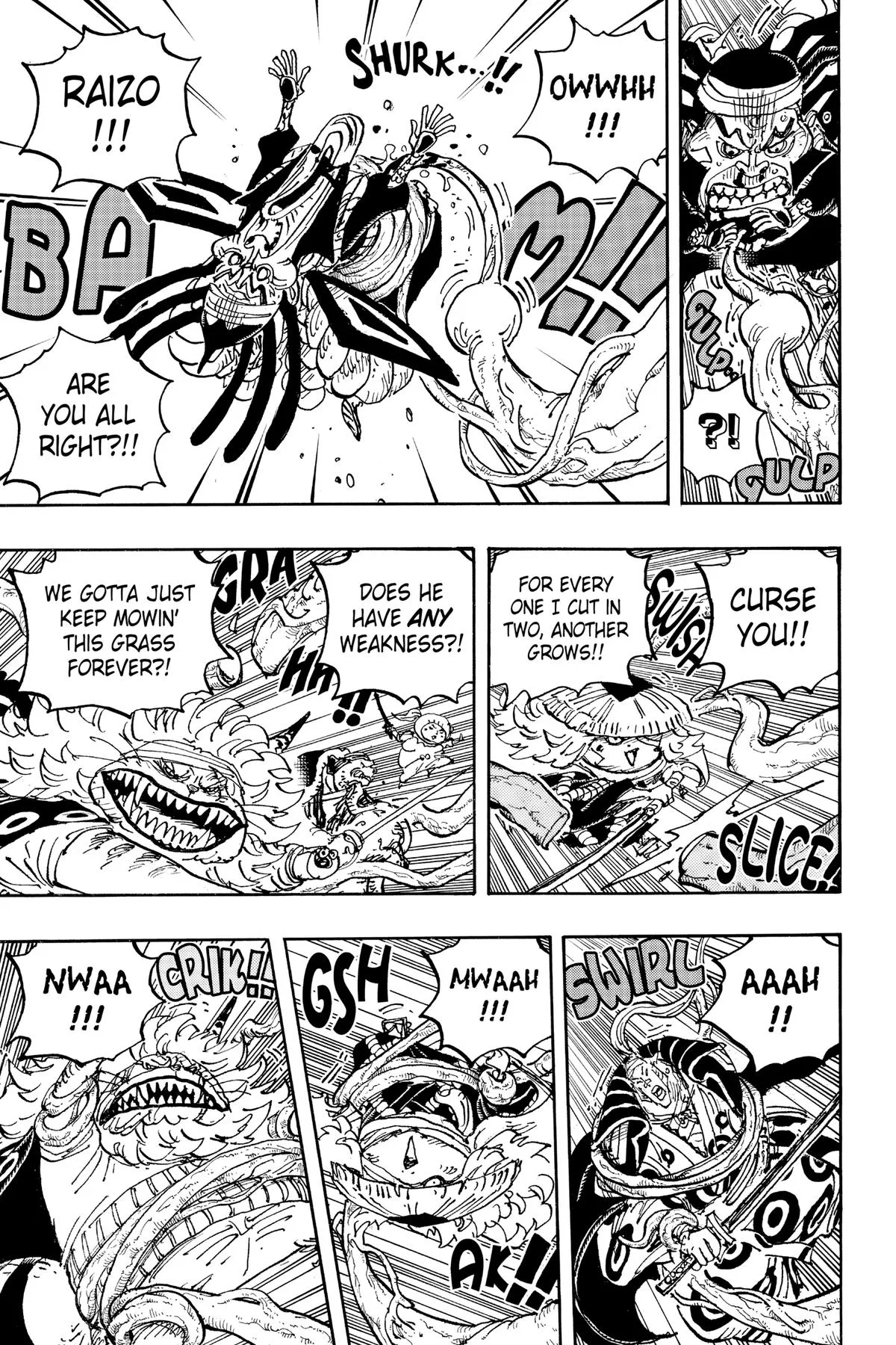 One Piece - Chapter 1055 - Page 5