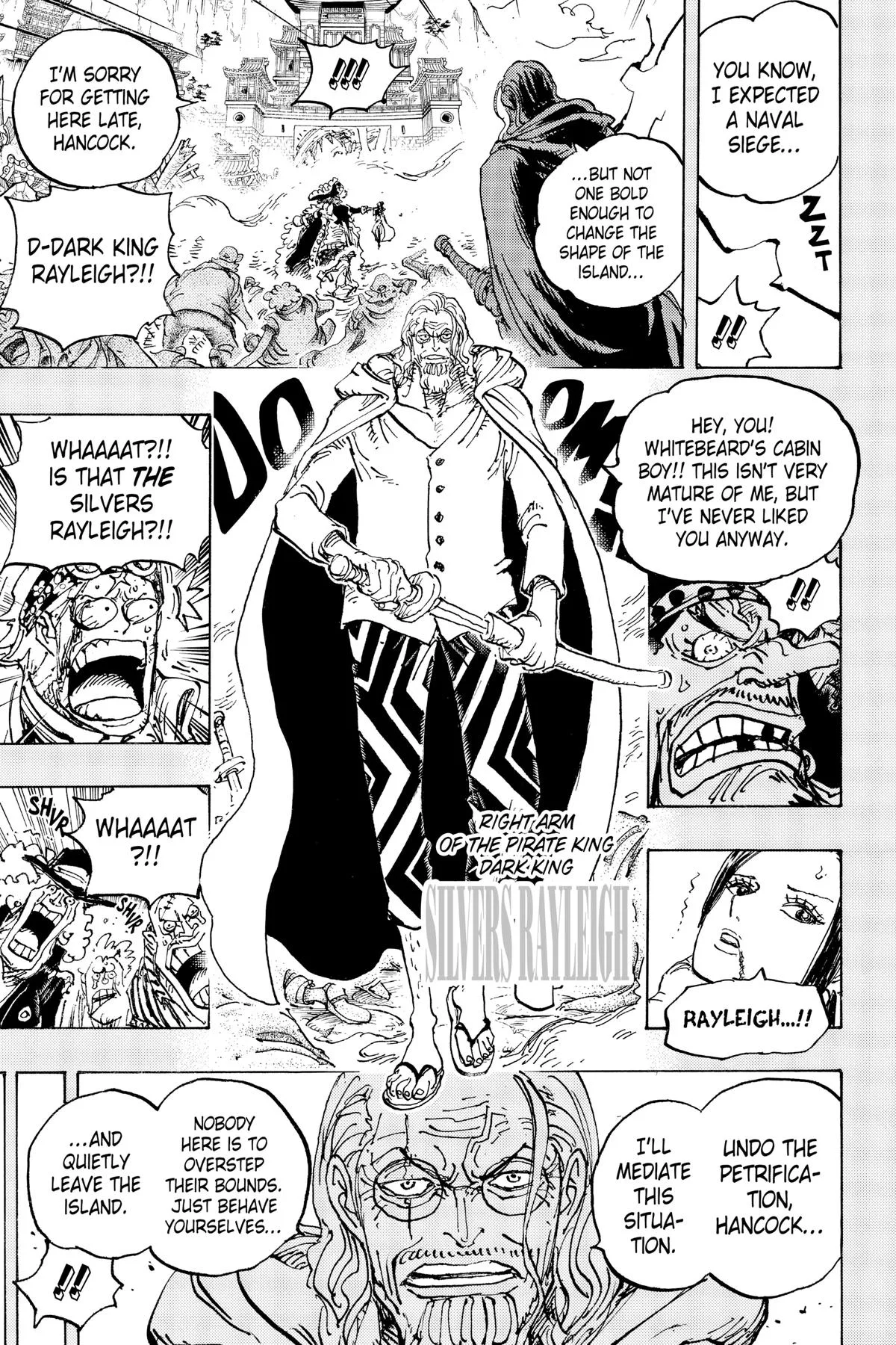 One Piece - Chapter 1059 - Page 14