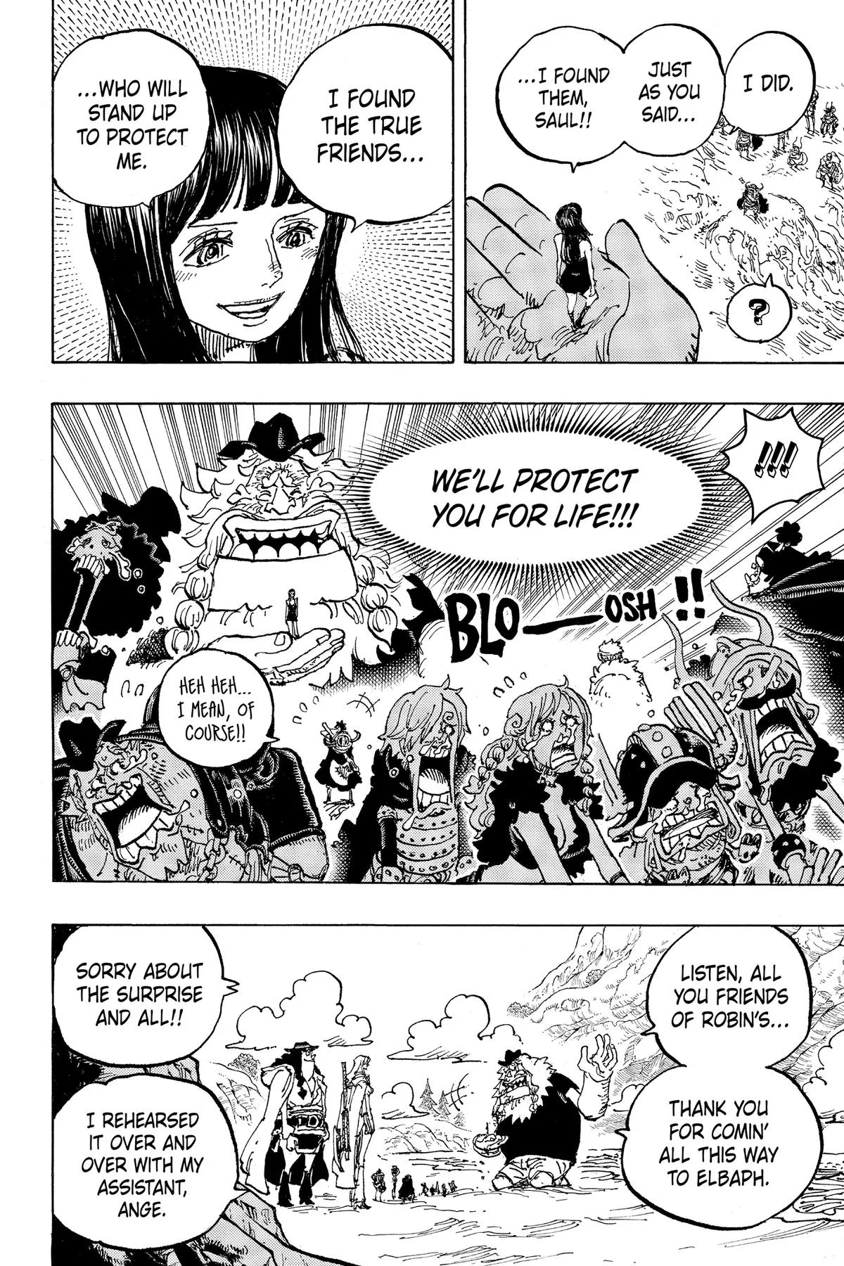 One Piece - Chapter 1134 - Page 11