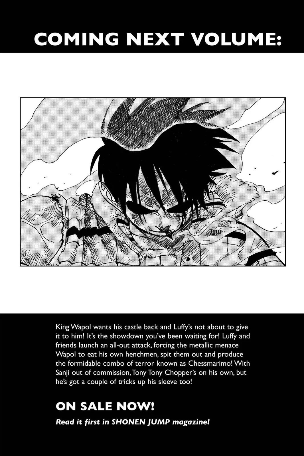 One Piece - Chapter 145 - Page 19