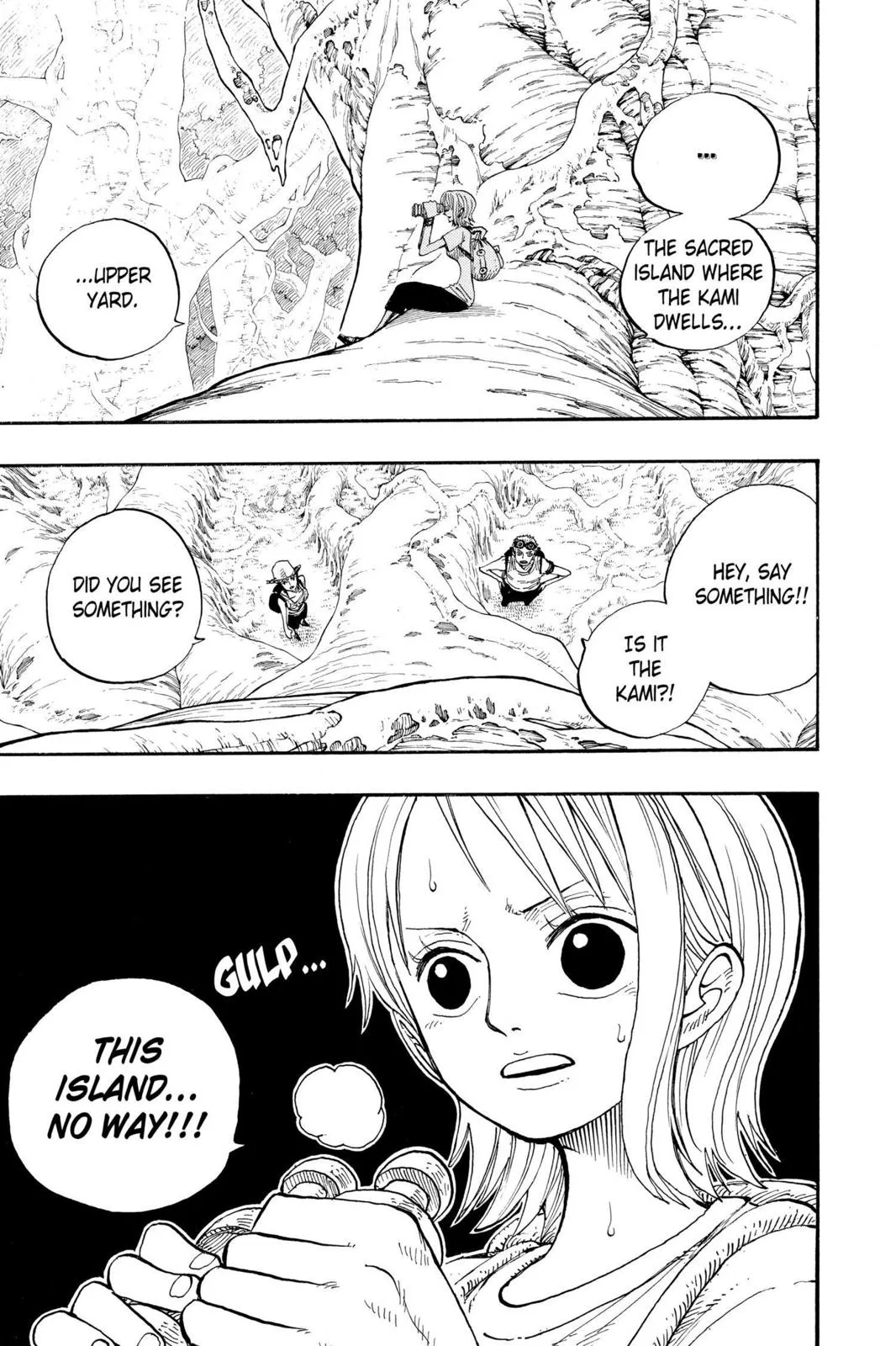 One Piece - Chapter 249 - Page 13