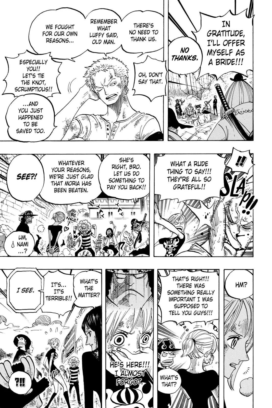 One Piece - Chapter 483 - Page 13
