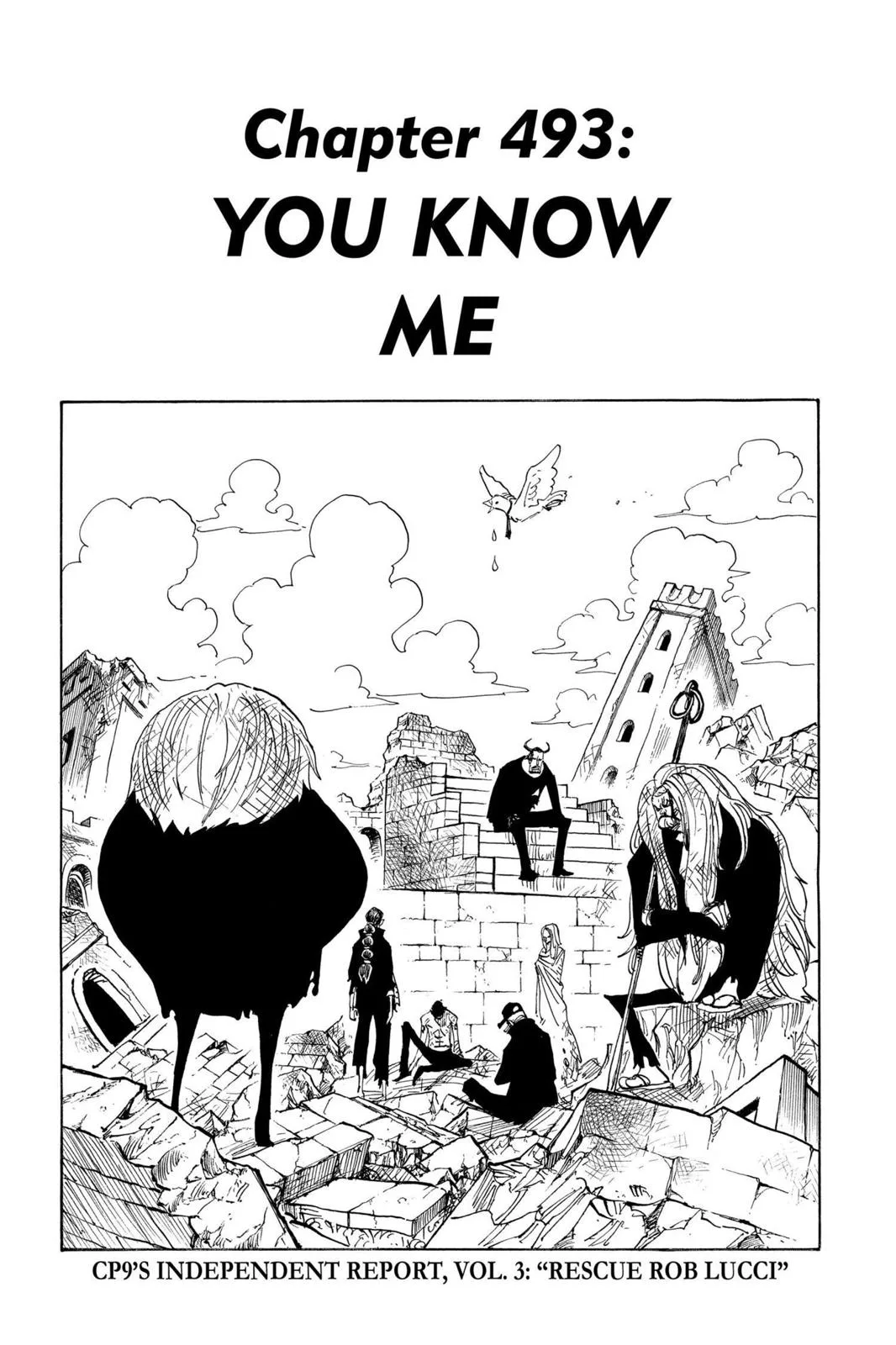 One Piece - Chapter 493 - Page 1